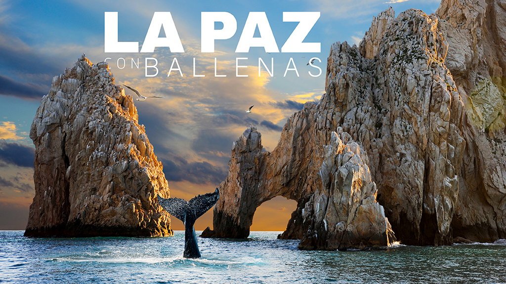 View from La Paz con Ballenas