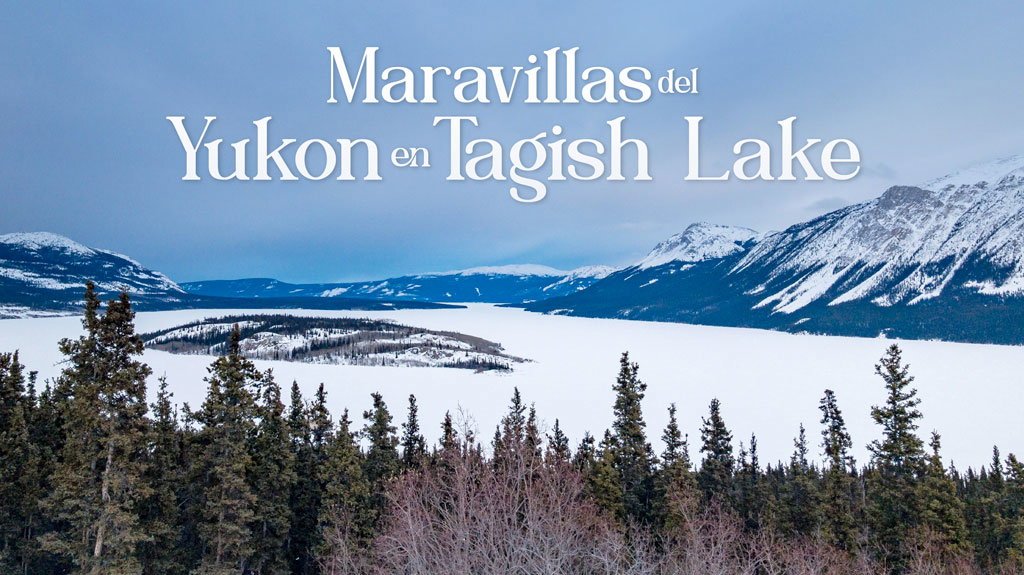 View from Maravillas del Yukon en Tagish Lake