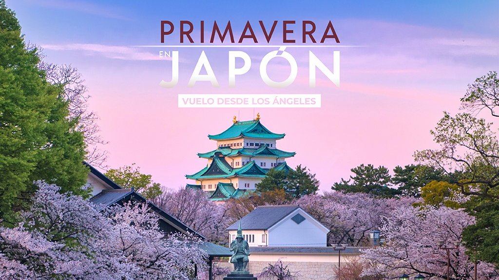 View from Primavera en Japón Vuelo desde Los Ángeles