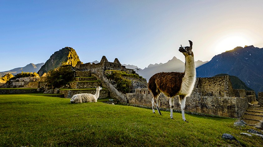 View from Vive la Magia del Peru Desde Monterrey