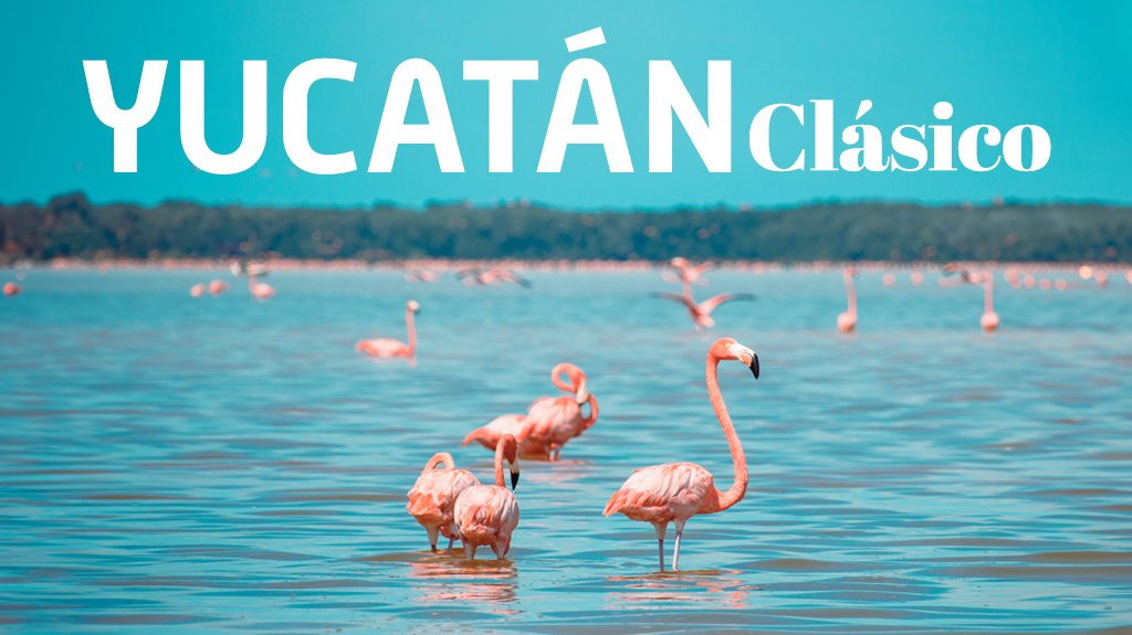 View from Yucatán Clásico