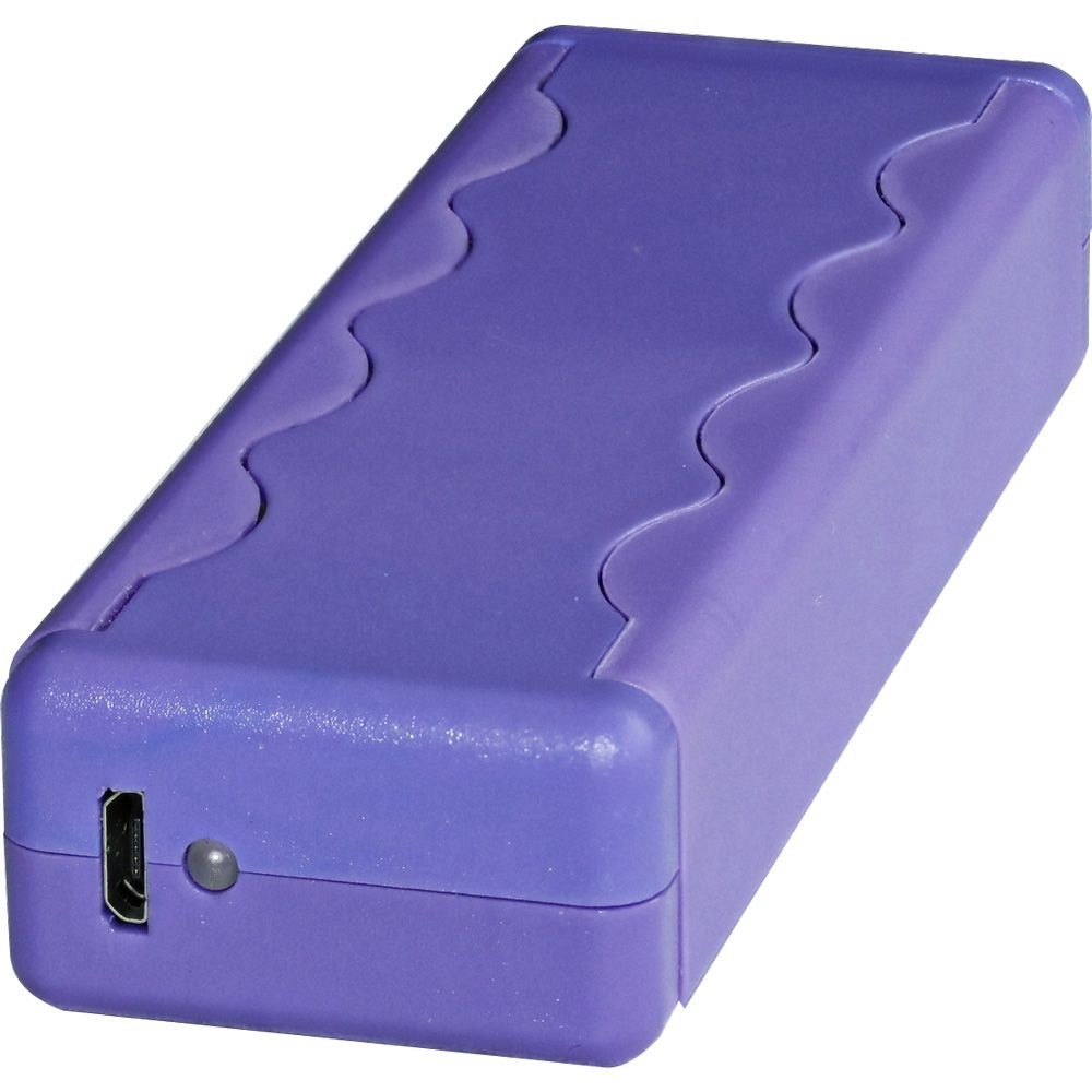 SAL Stun Gun with Alarm and flashlight, view 5