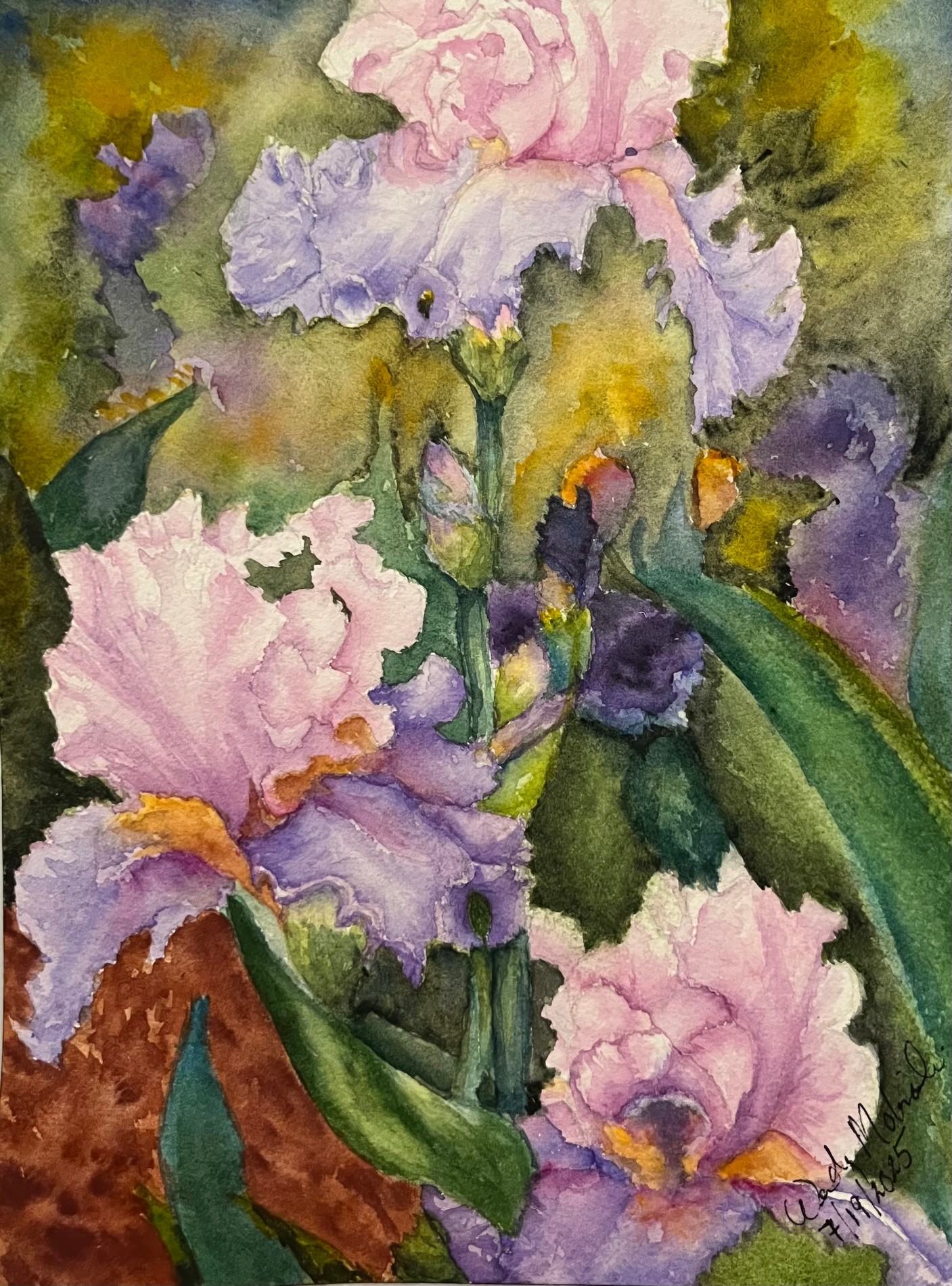 Wild Irises, pink and lavender flowers painted by Wendy Molinaroli