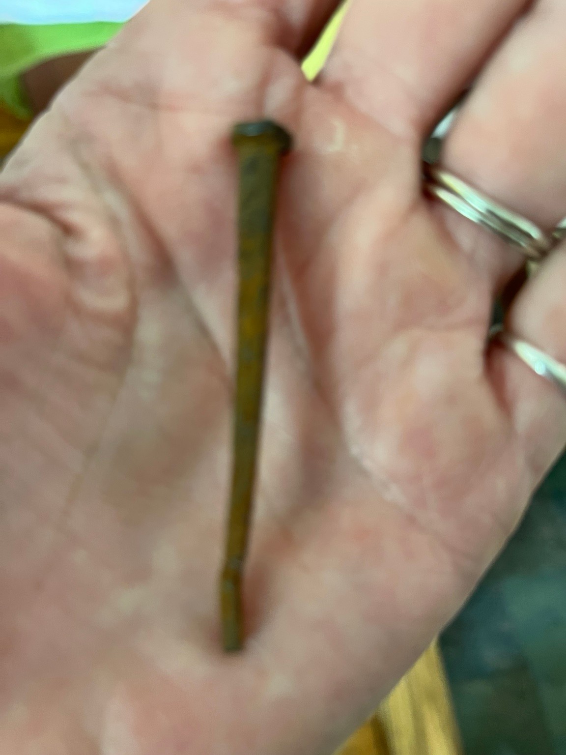 A nail found in the sofa, one of the clues that sparked my curiosity about her age.