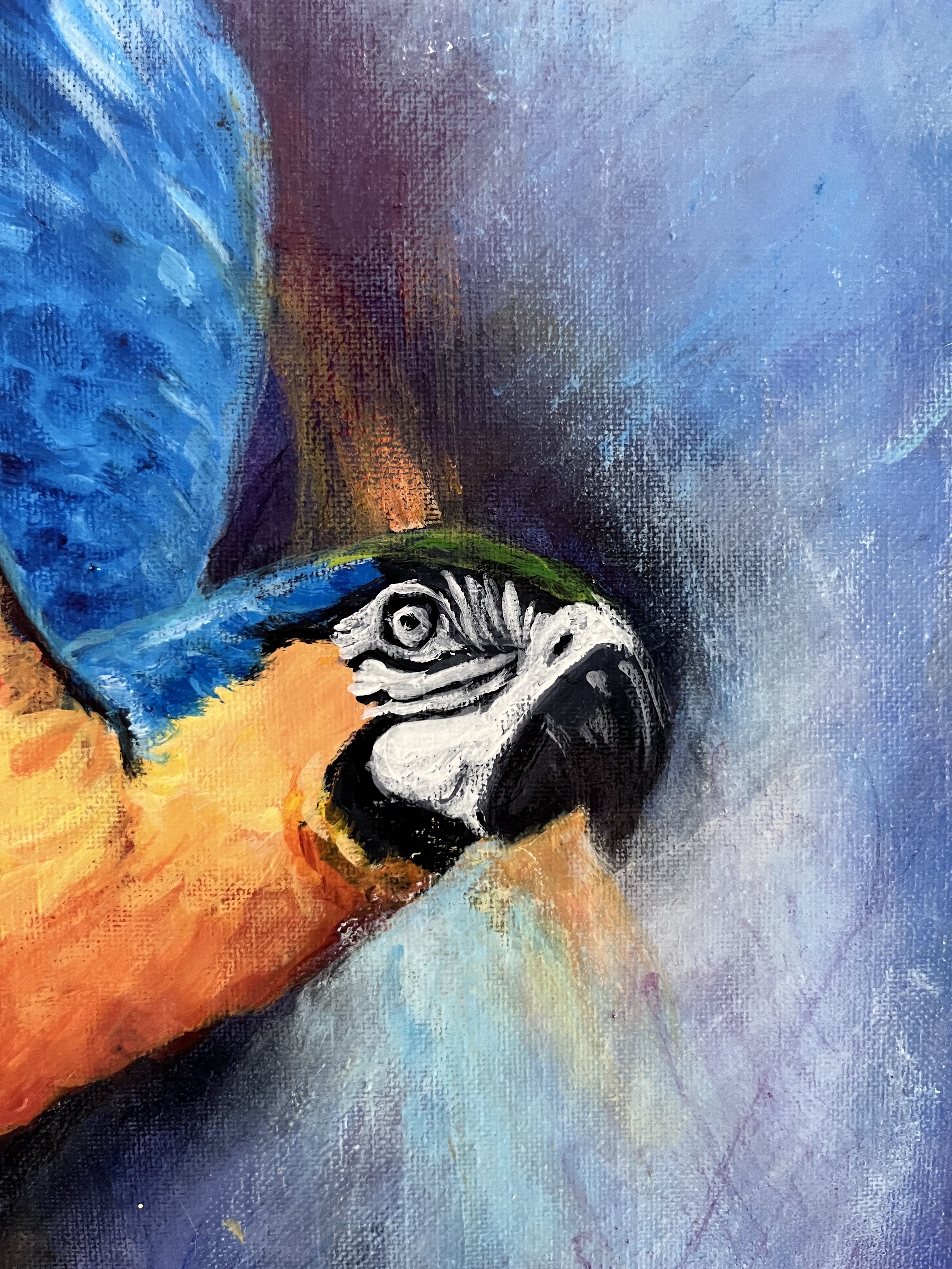 Close detail of the macaw’s face in Wendy Molinaroli’s Macaw in Flight painting