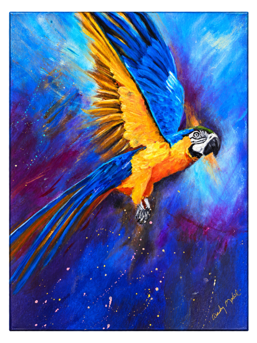 Macaw in Flight, an original acrylic painting by Wendy Molinaroli
