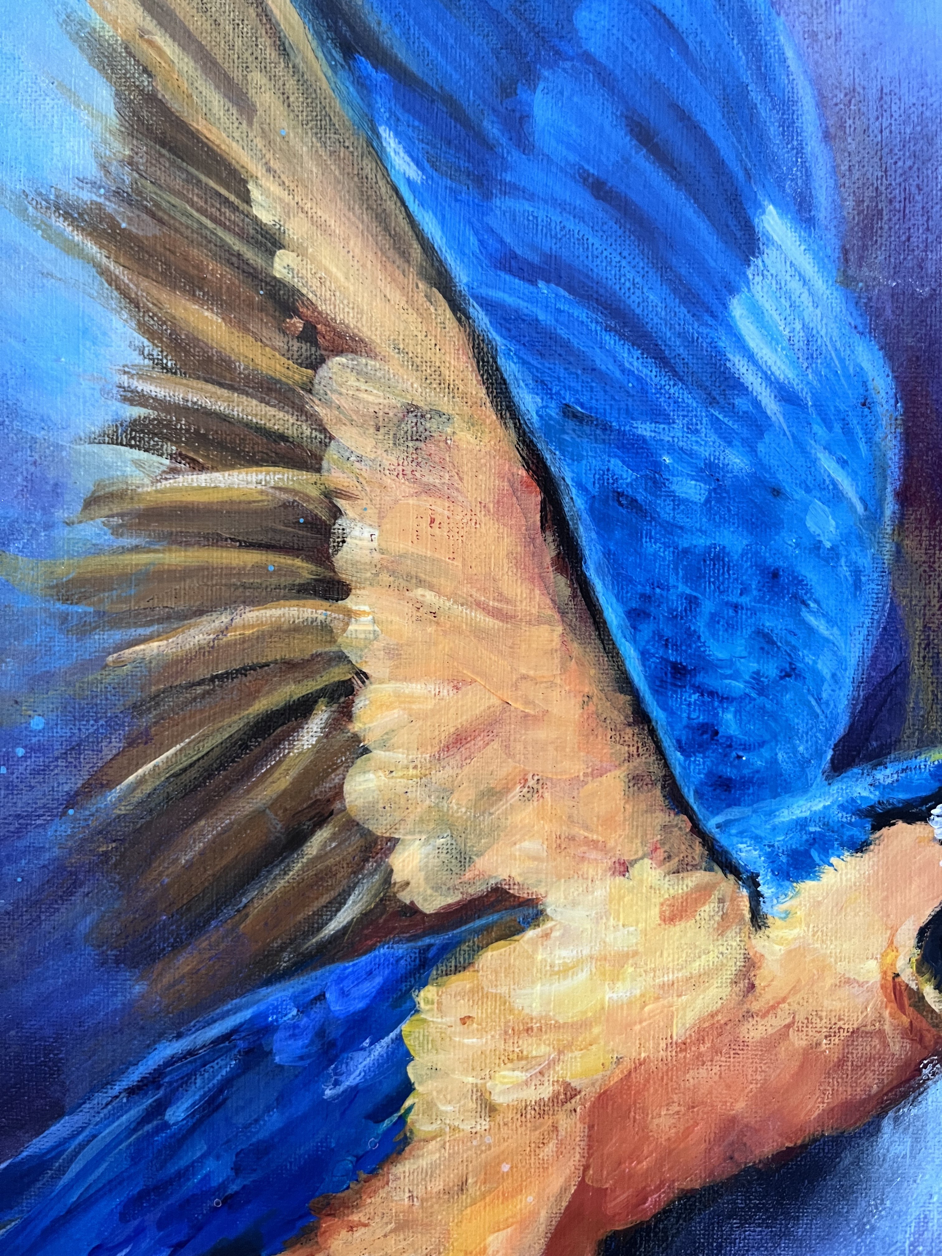 Close detail of the blue and gold wing in Wendy Molinaroli’s Macaw in Flight painting