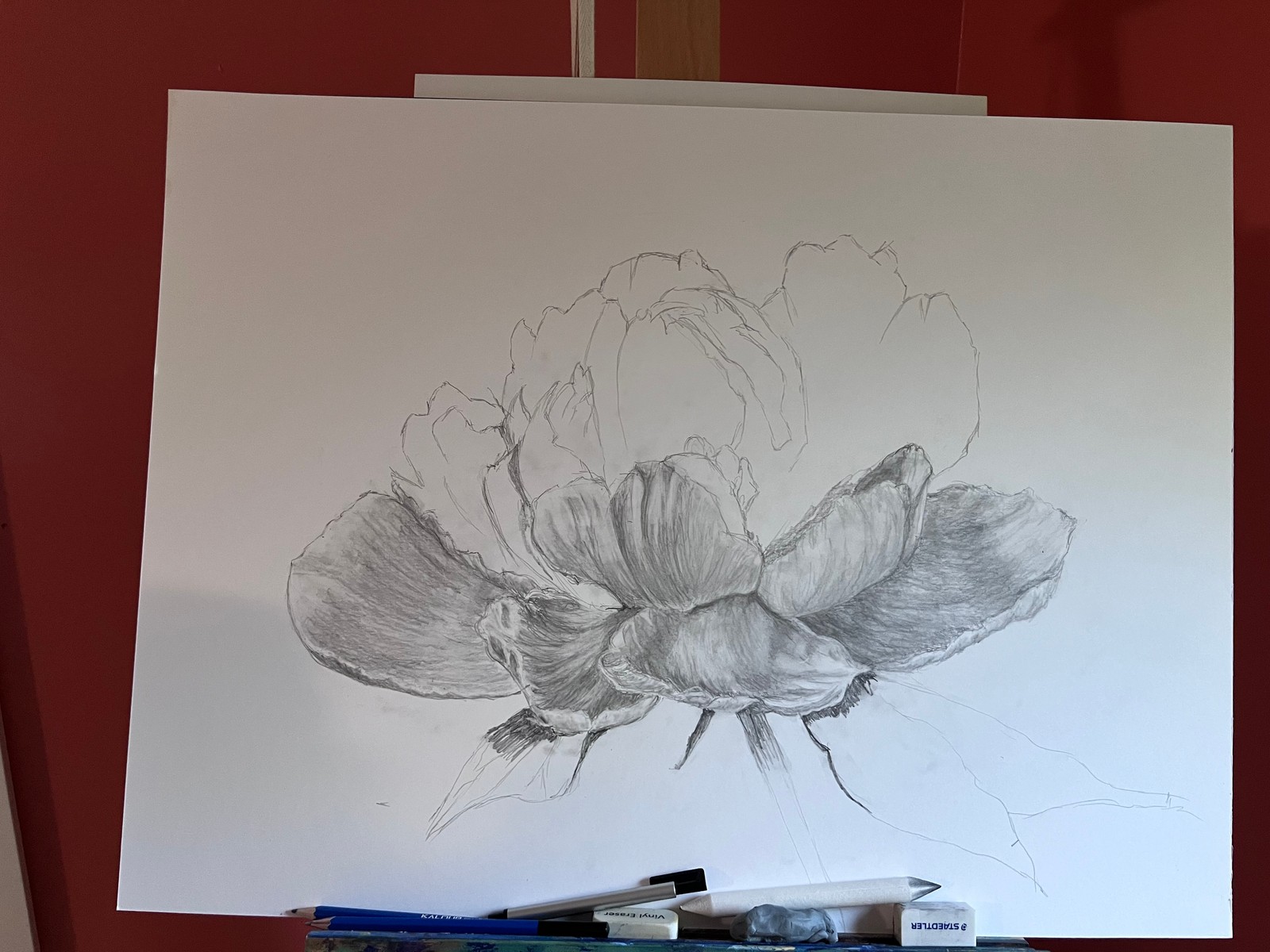 Building light and shadow, one petal at a time.