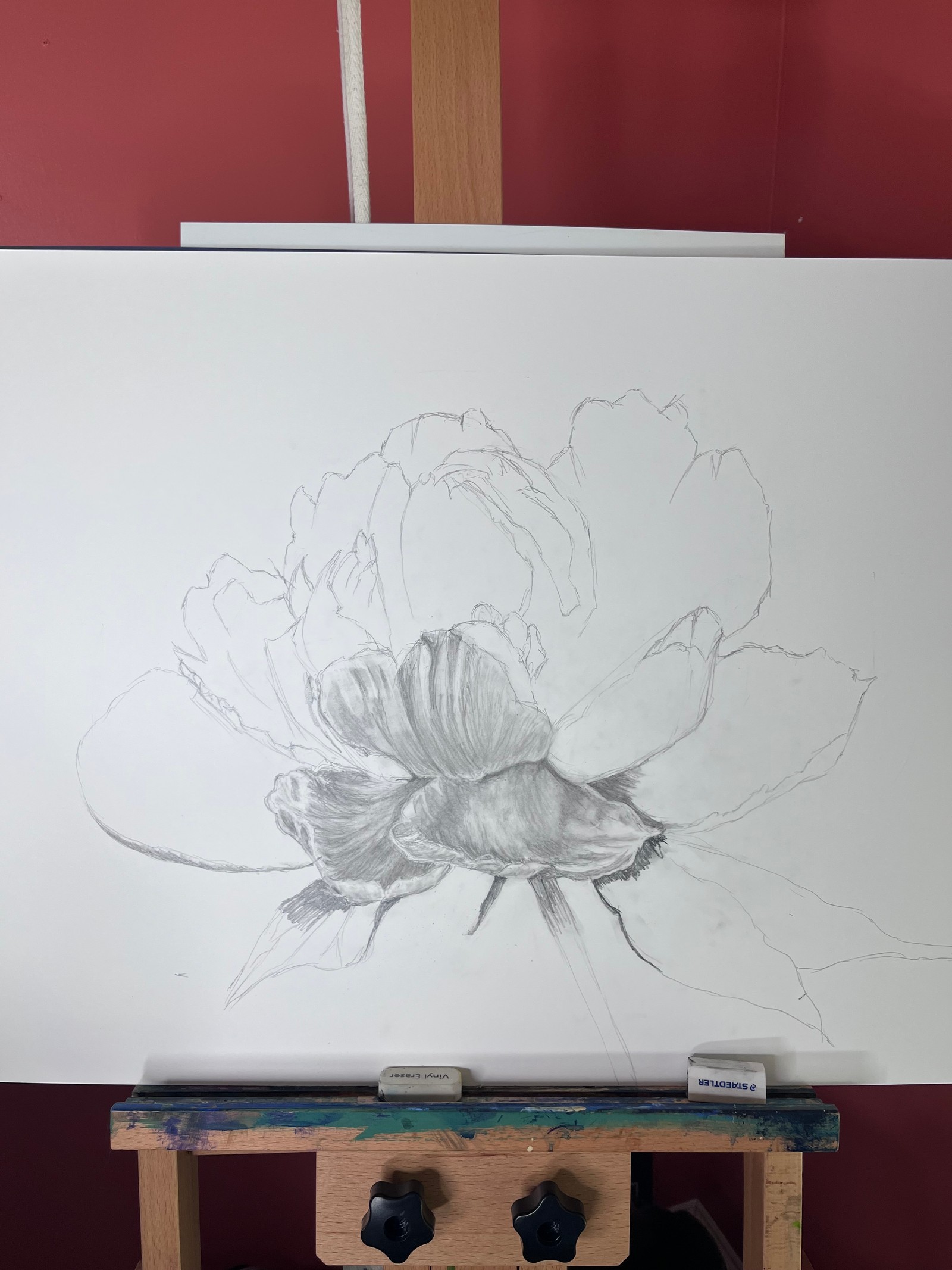 The first shaded petals begin to give the flower its form.