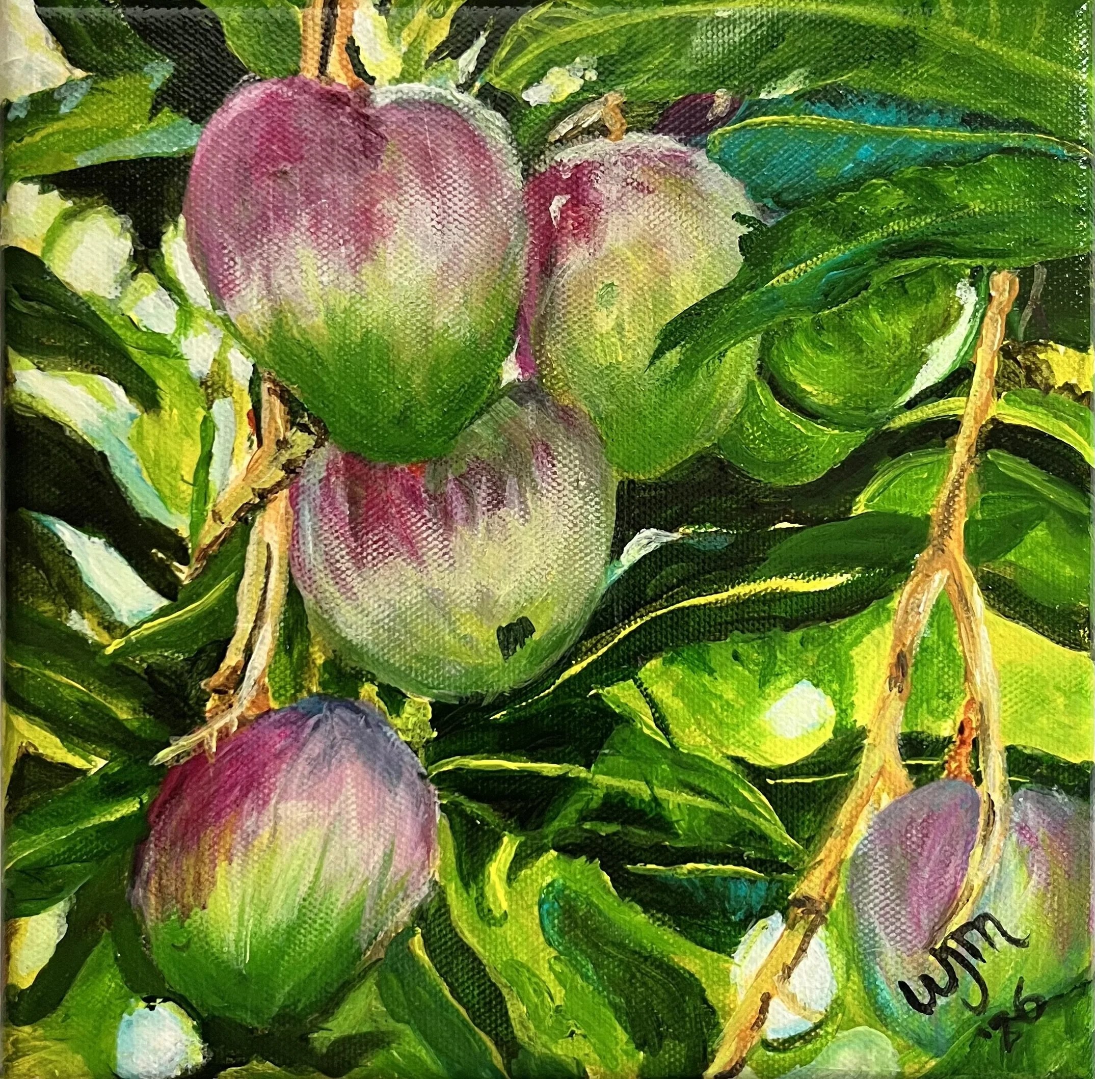 The Mangoes