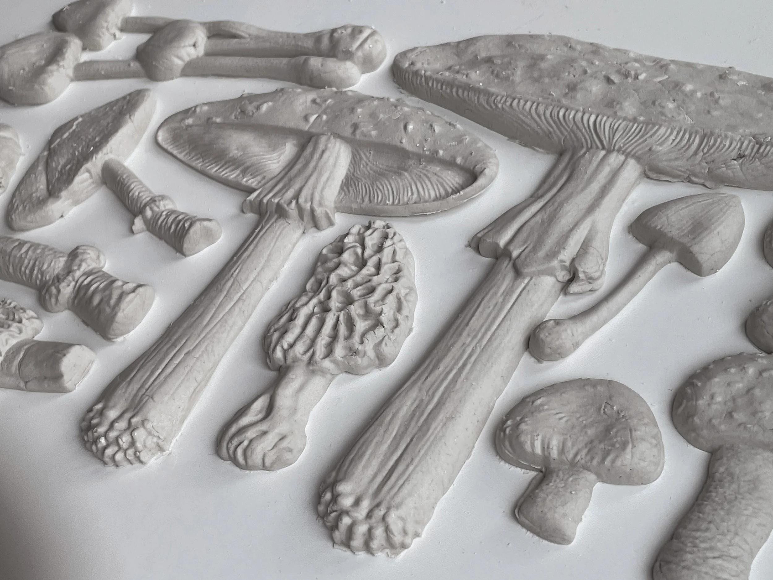 Toadstools IOD Mould 6 x 10