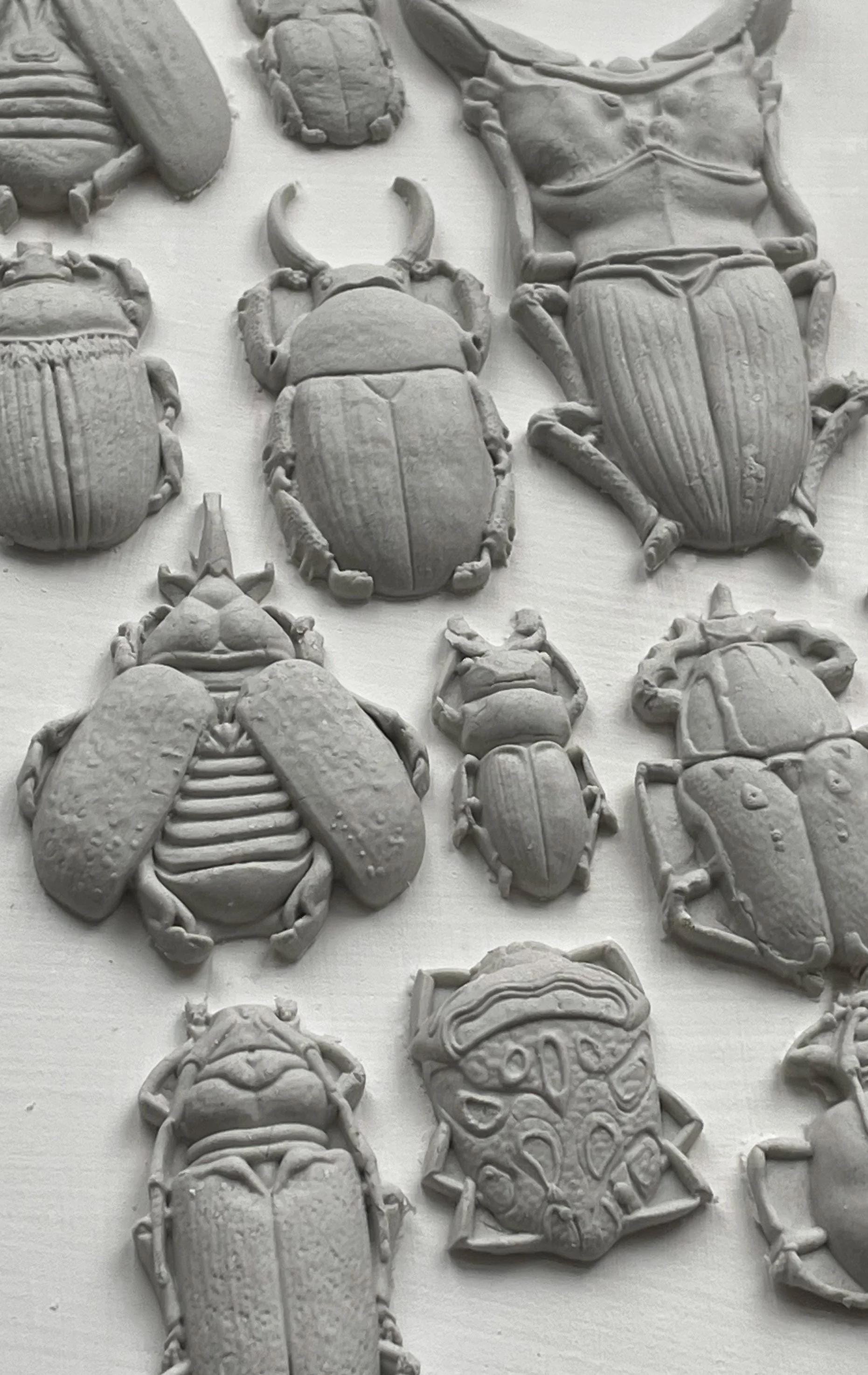 Specimens IOD Mould 6 x 10