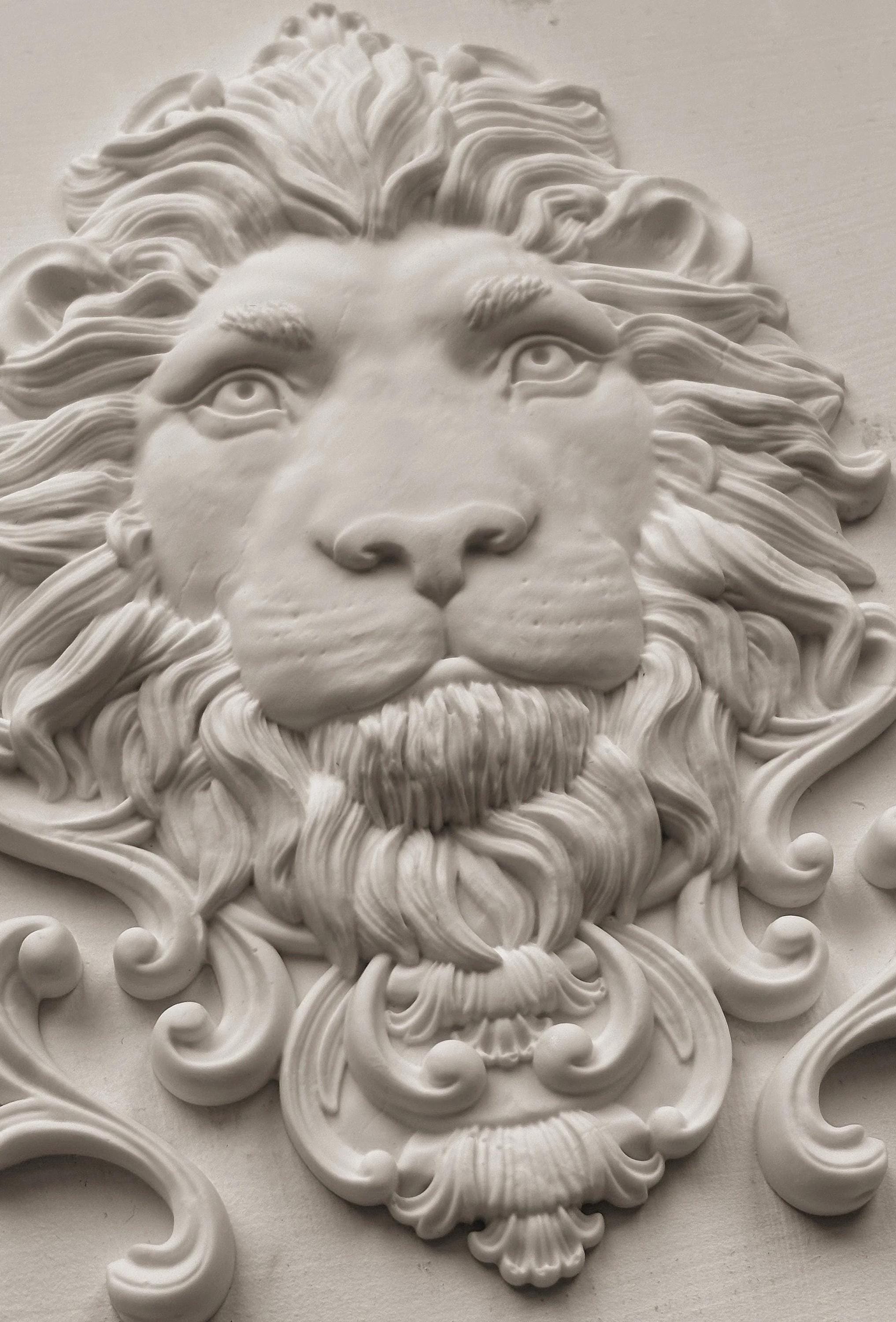 Leonidas IOD Mould 5 x 7