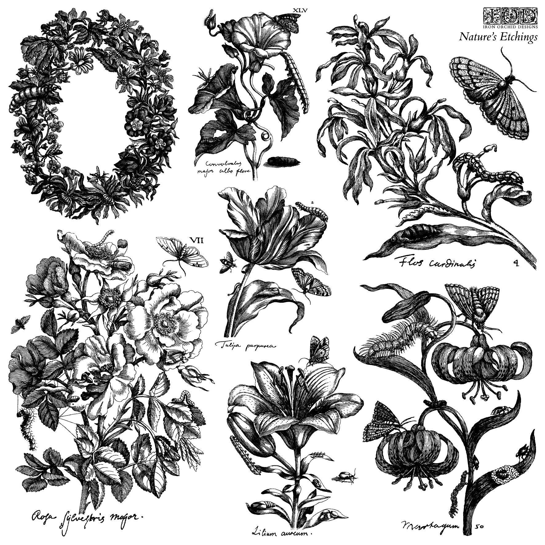 Nature's Etchings 12x12 IOD Stamp 2 Sheets