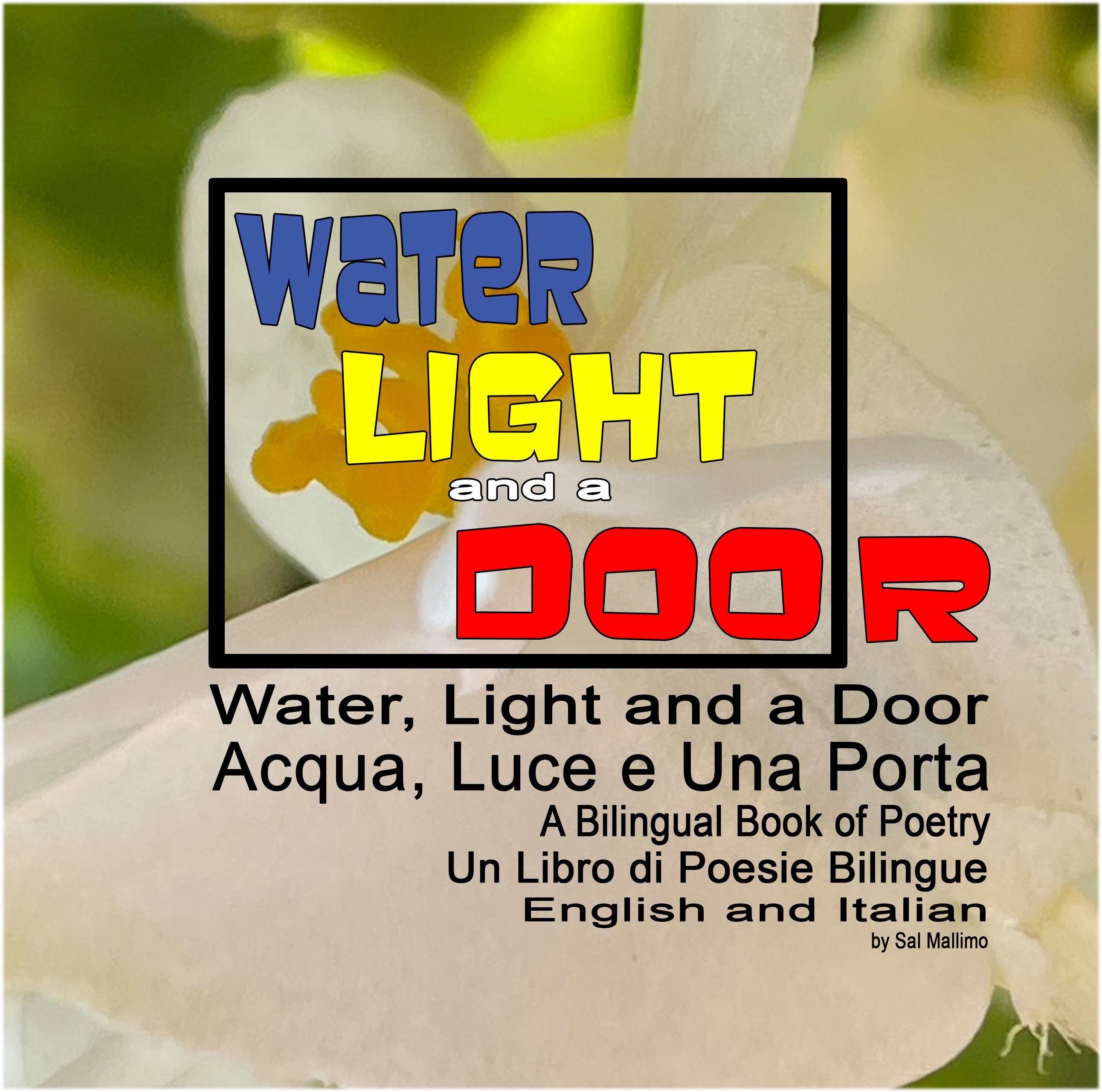 Water, Light and a Door: Acqua, Luce e Una Porta, bilingual English and Italian poetry by Sal Mallimo