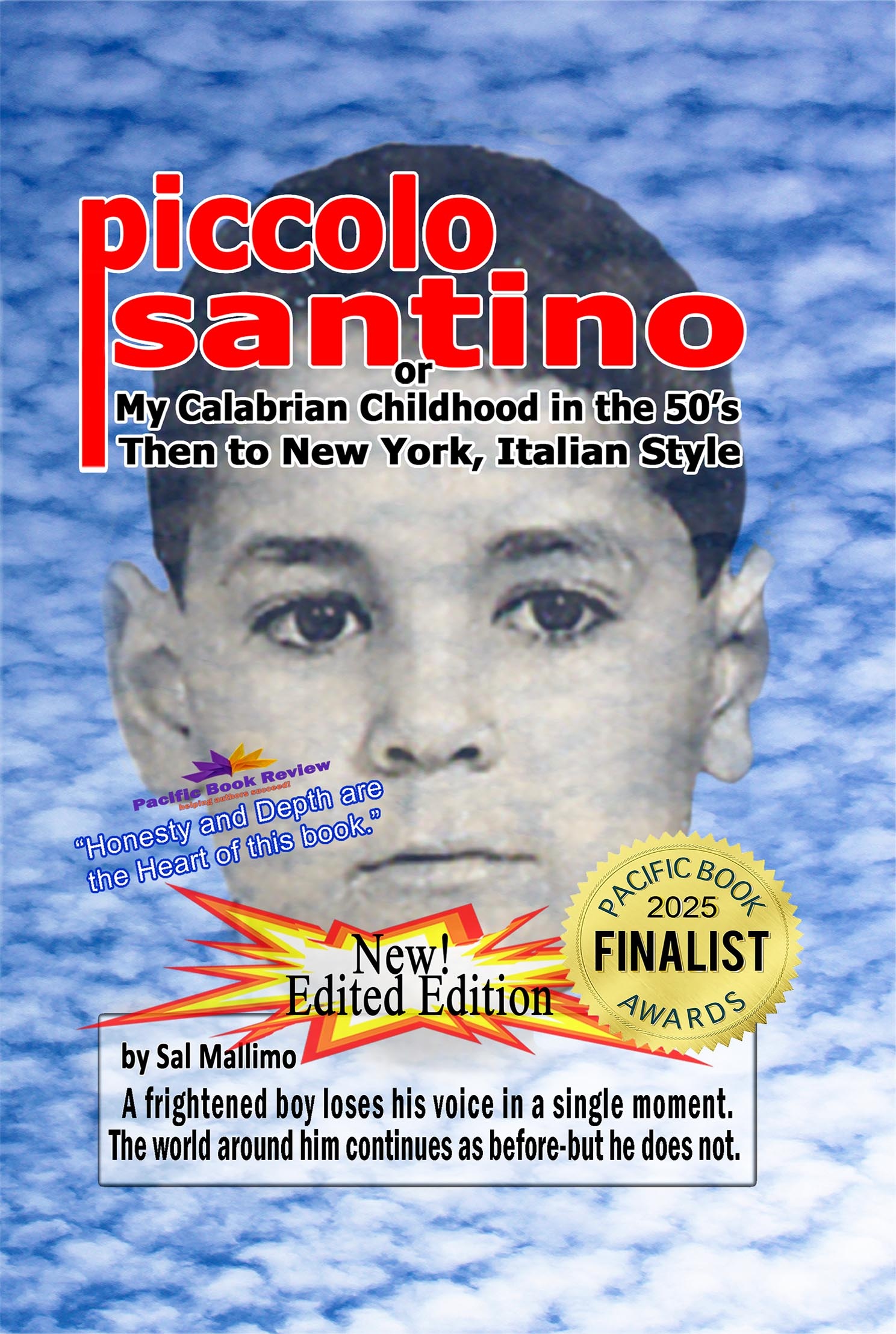 Cover of Piccolo Santino by Sal Mallimo