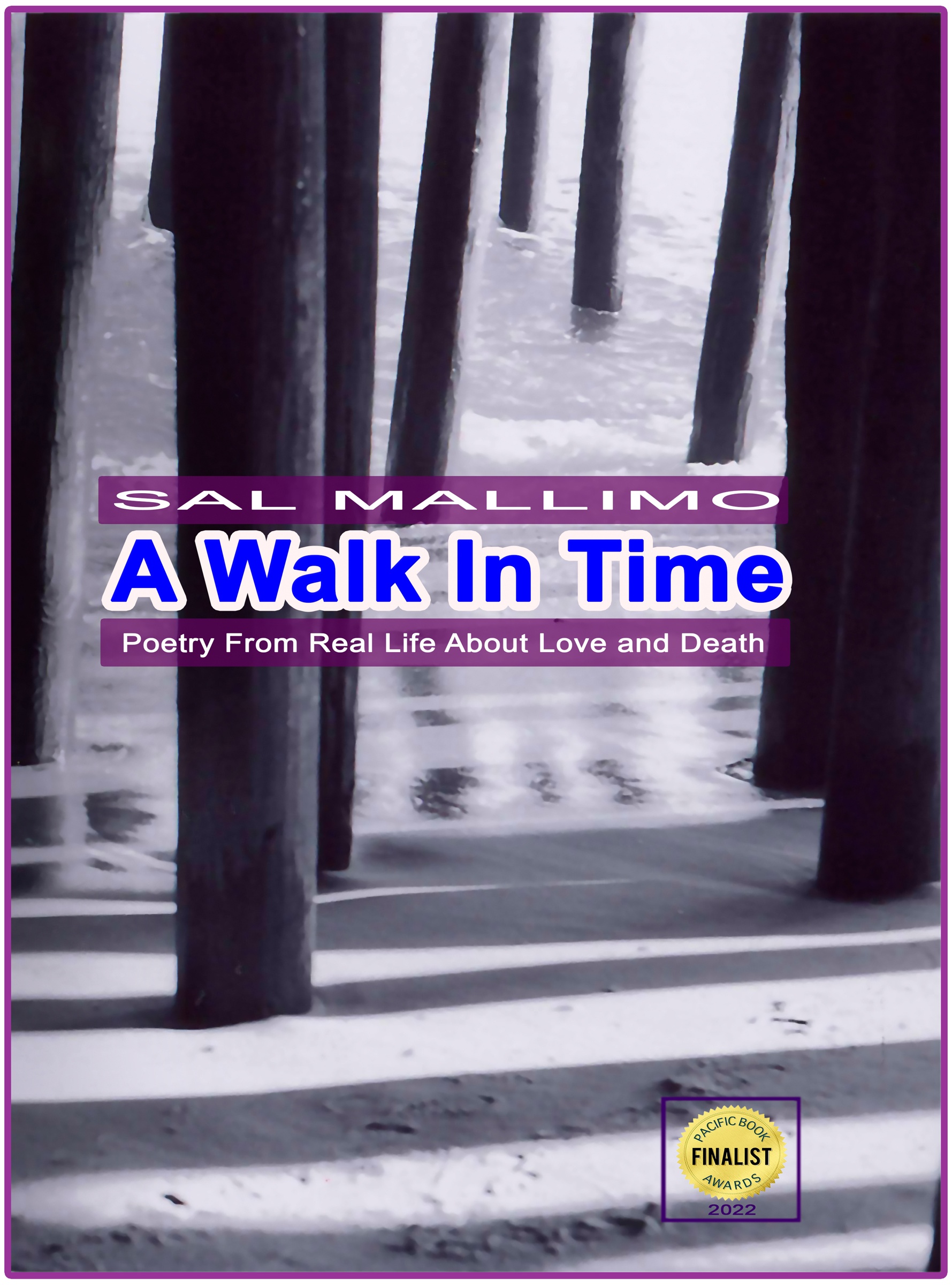 Cover art for A Walk in Time by Sal Mallimo