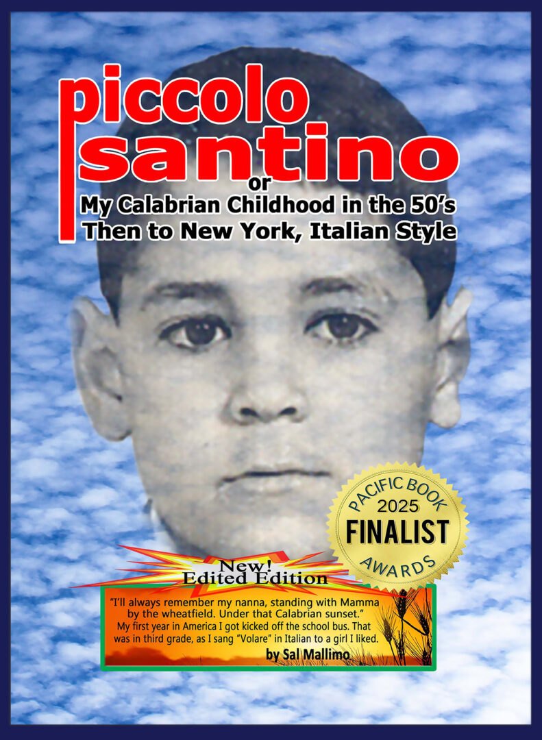 Cover of Piccolo Santino by Sal Mallimo