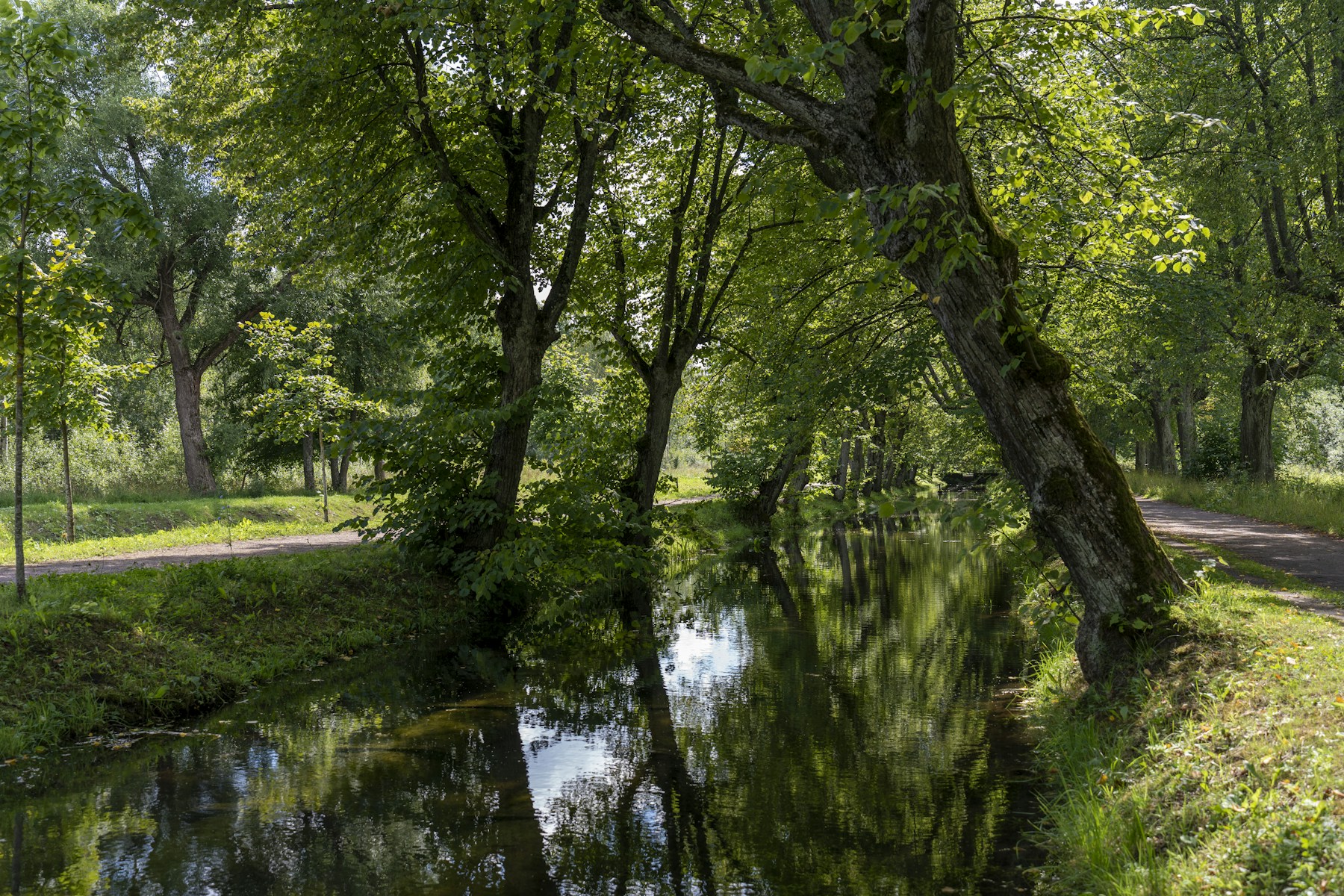 A quiet green path beside still water