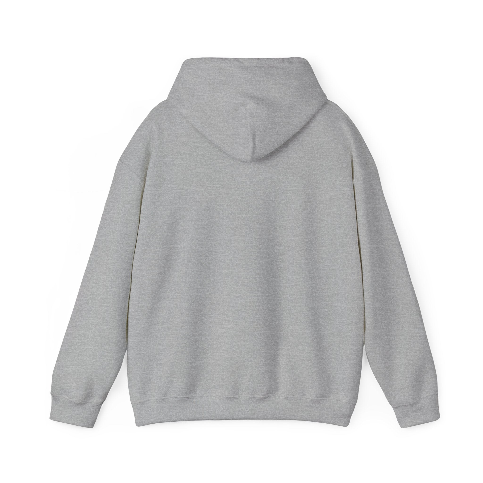 God’s Man Scripture Unisex Heavy Blend Hoodie, view 13