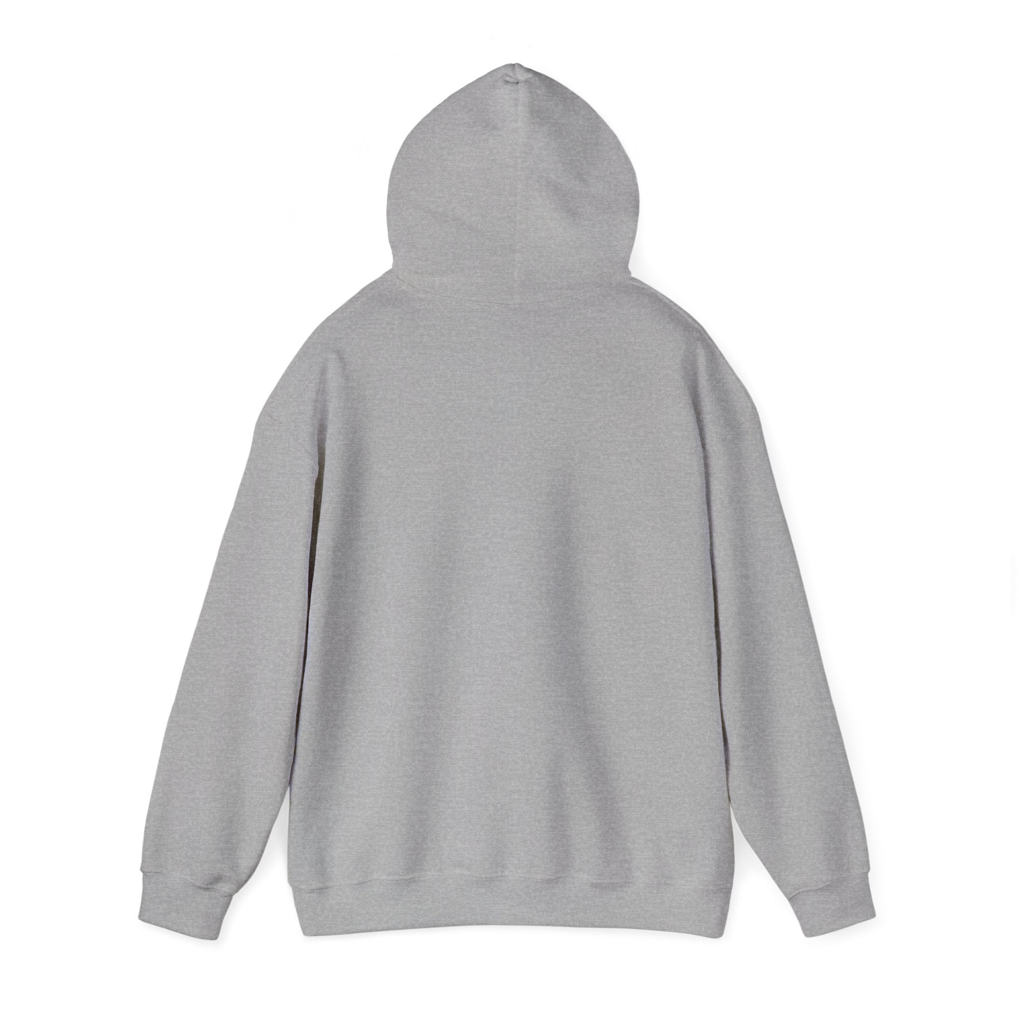 God’s Man Scripture Unisex Heavy Blend Hoodie, view 14