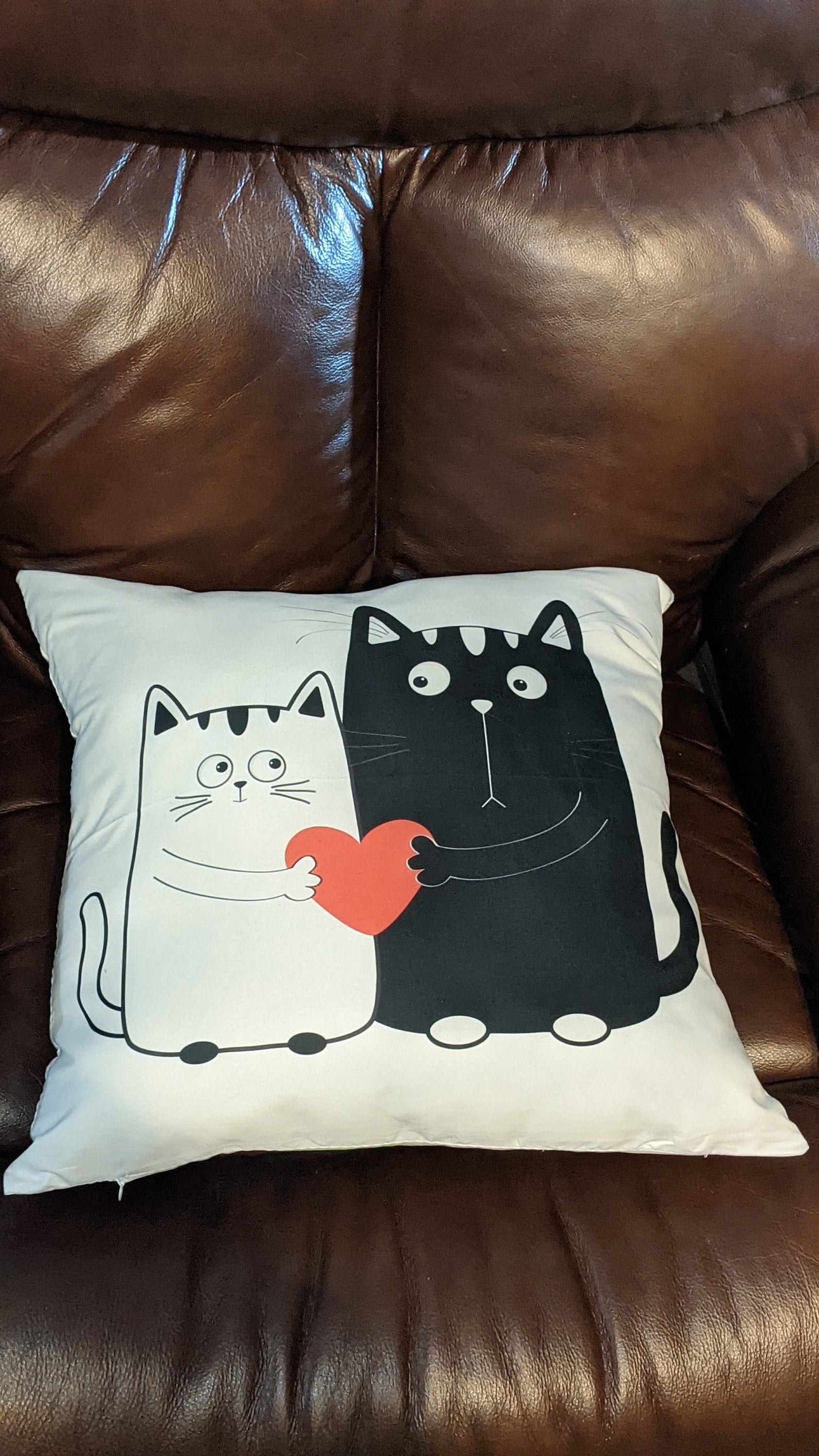 Cat Lover Pillow Cover: Funny Black & White Cats, 18x18