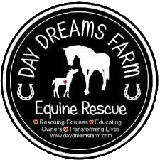 Day Dreams Farm Equine Rescue logo