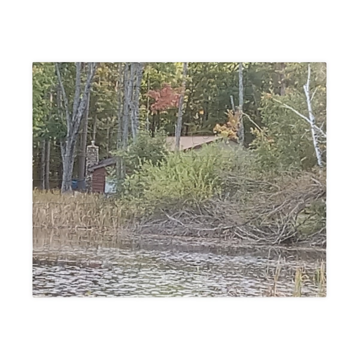 Serene Autumn Forest Jigsaw (110 pcs)
