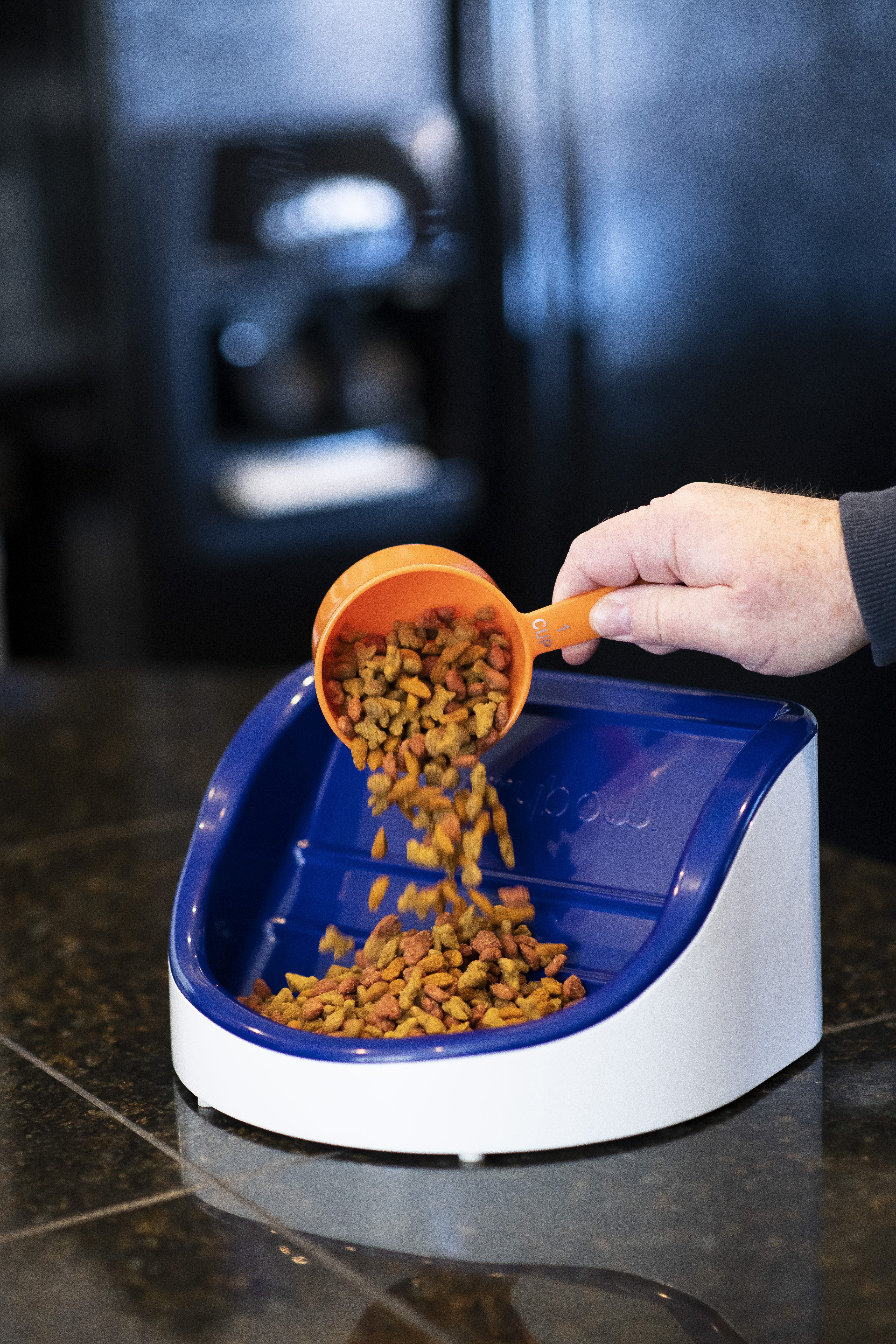 Murrybowl in use by a flat-faced dog