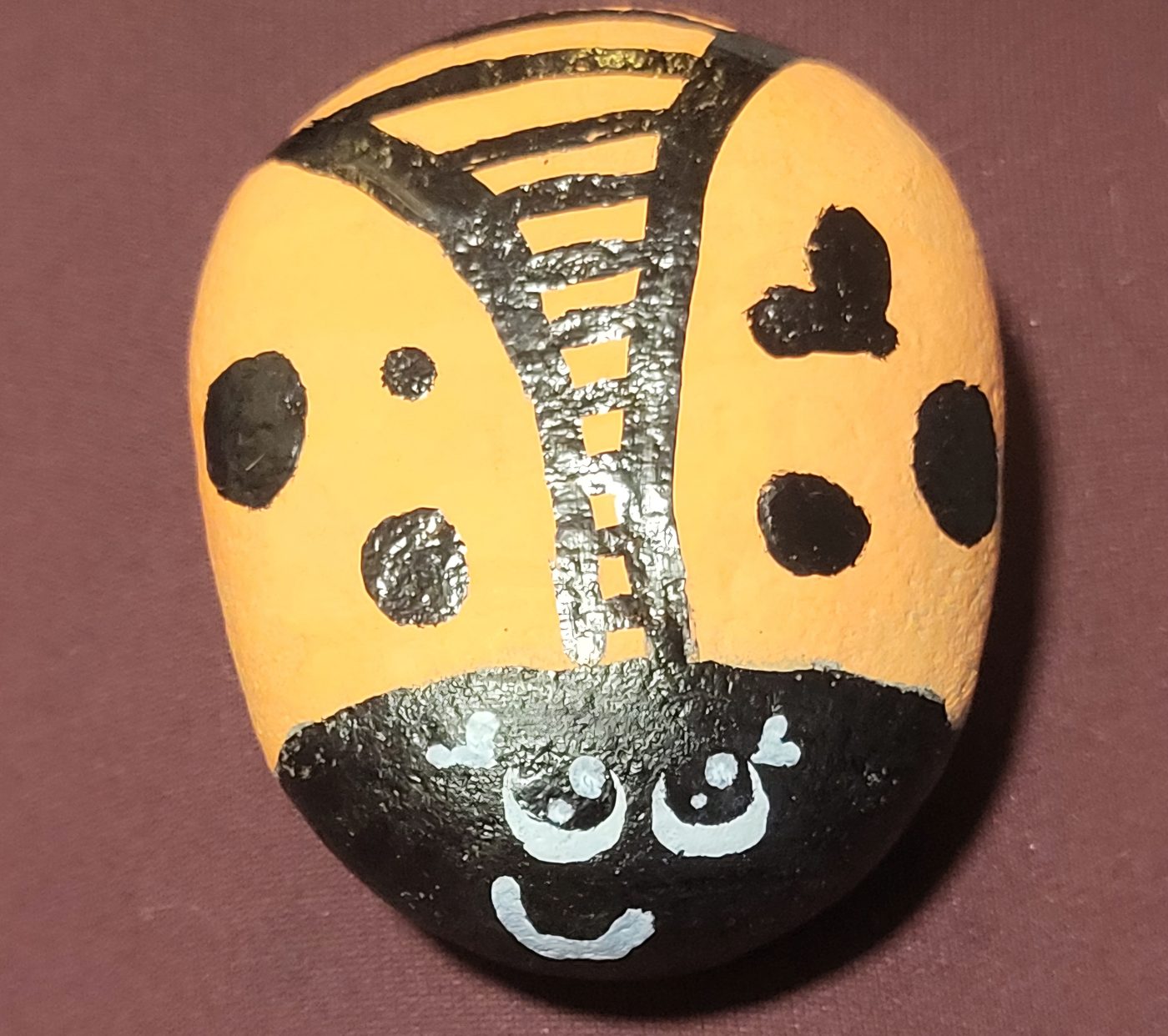 Heart-patterned beetle, main view