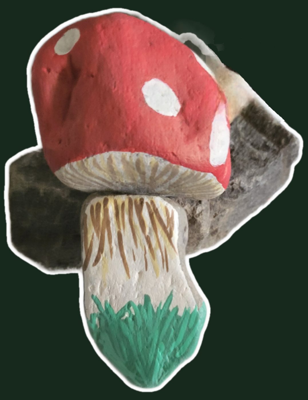 Woodland mushroom, main view