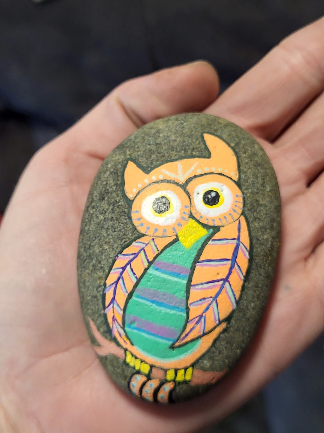 Striped wide-eyed owl, main view