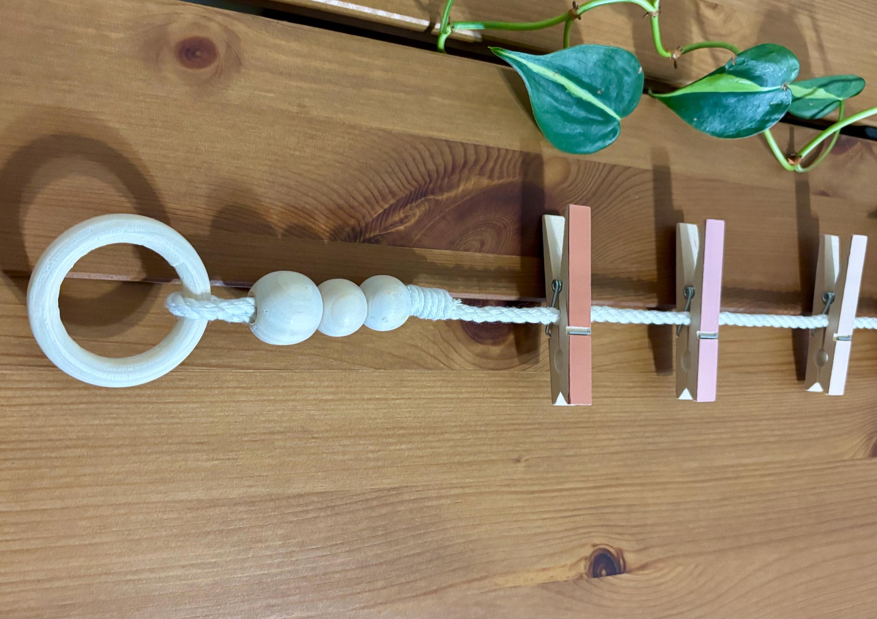 Blush Pink Clothespin Garland, detail 4