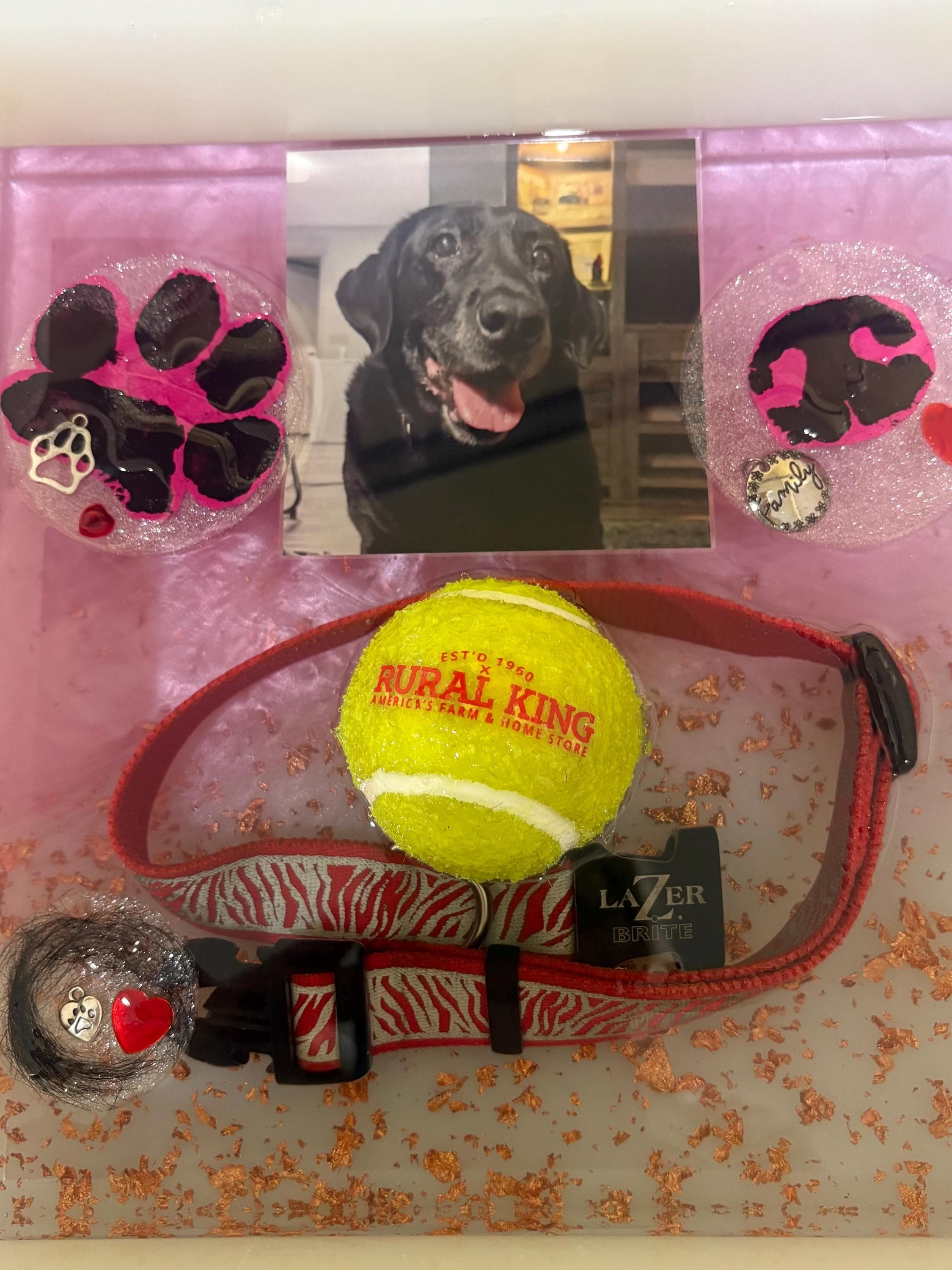 Handcrafted Pet Memorial Resin Keepsake: Photo, Collar, Toy, Fur Tribute
