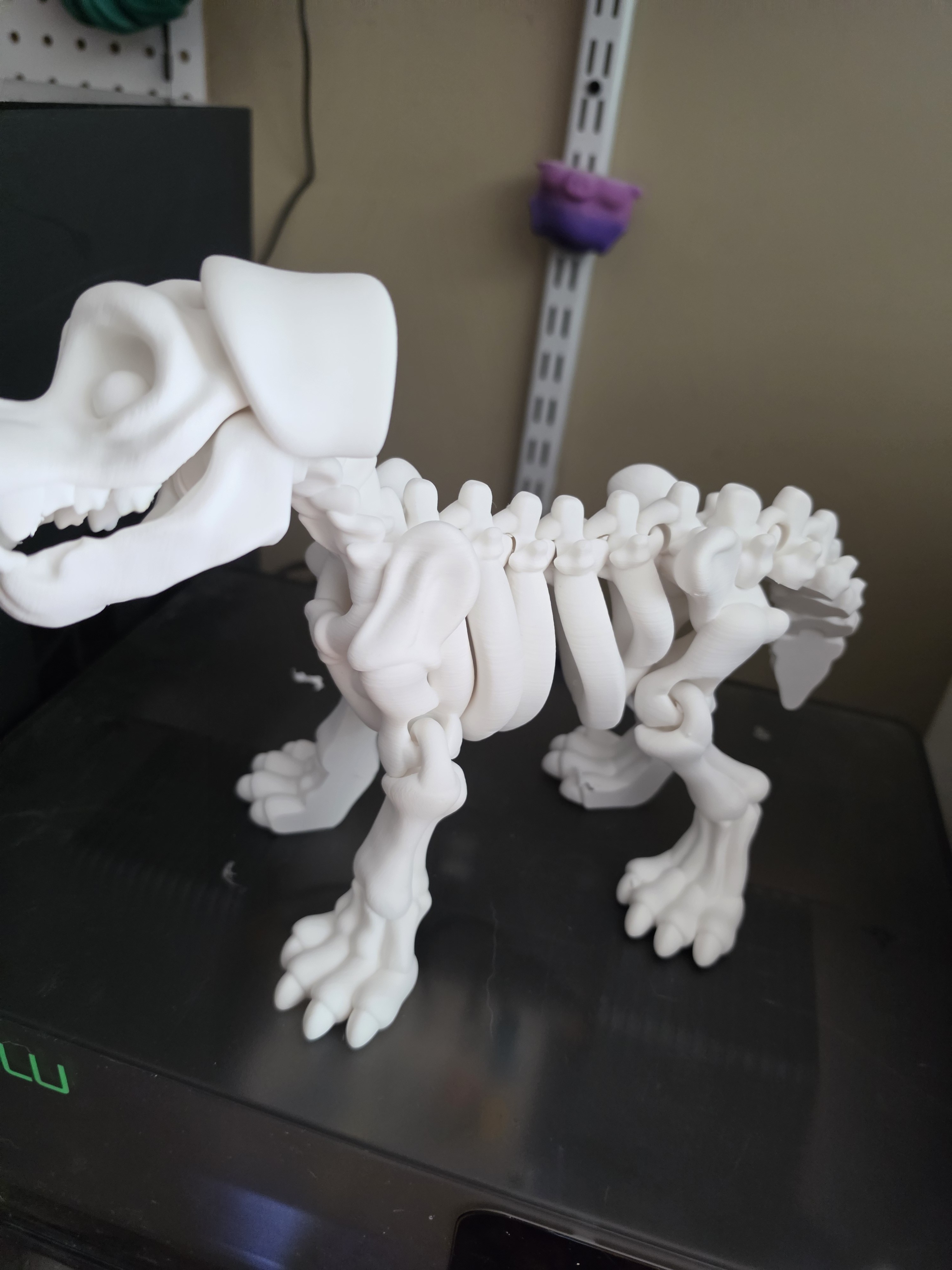 Dinosaur skeleton print