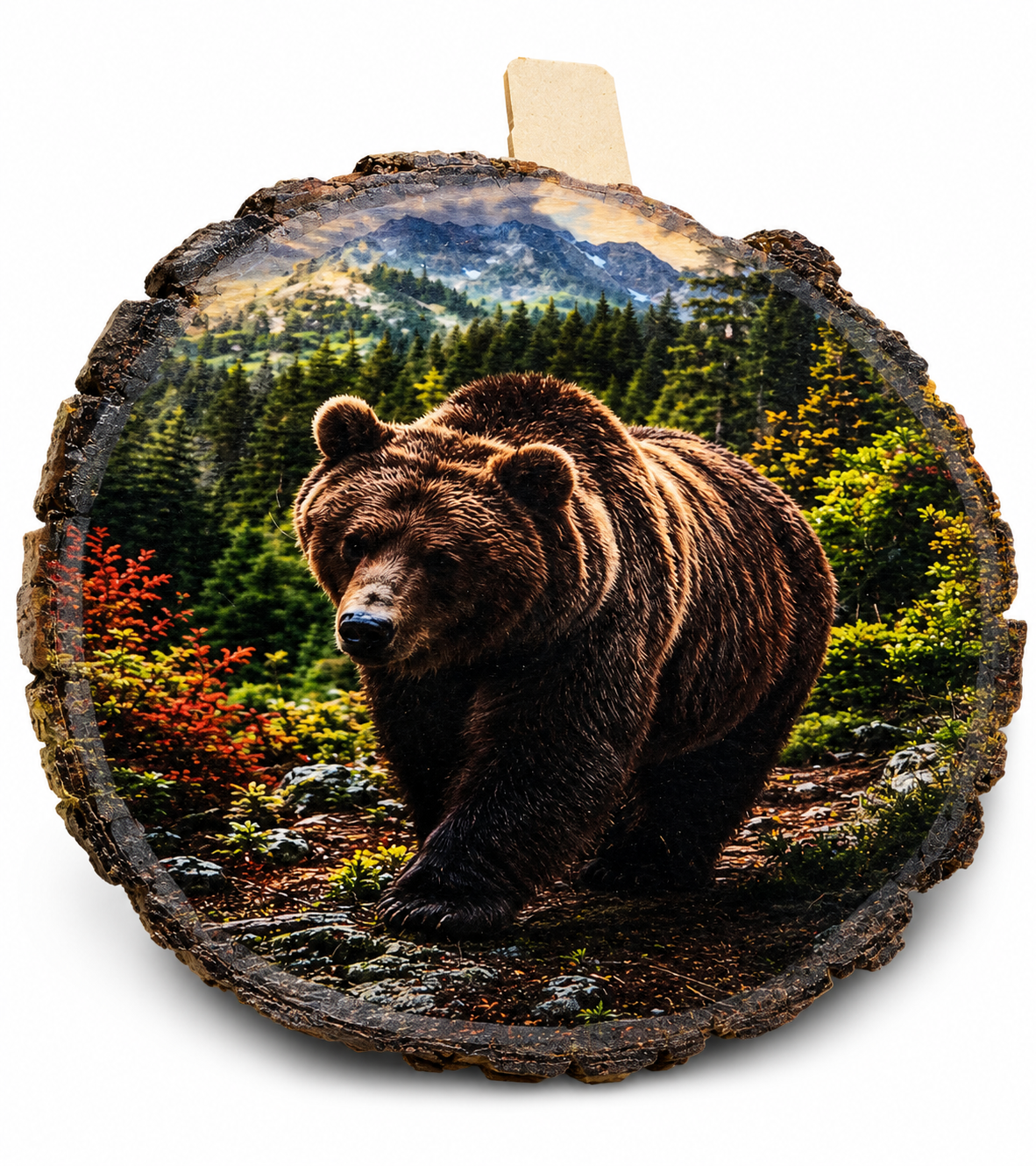 Round bear artwork