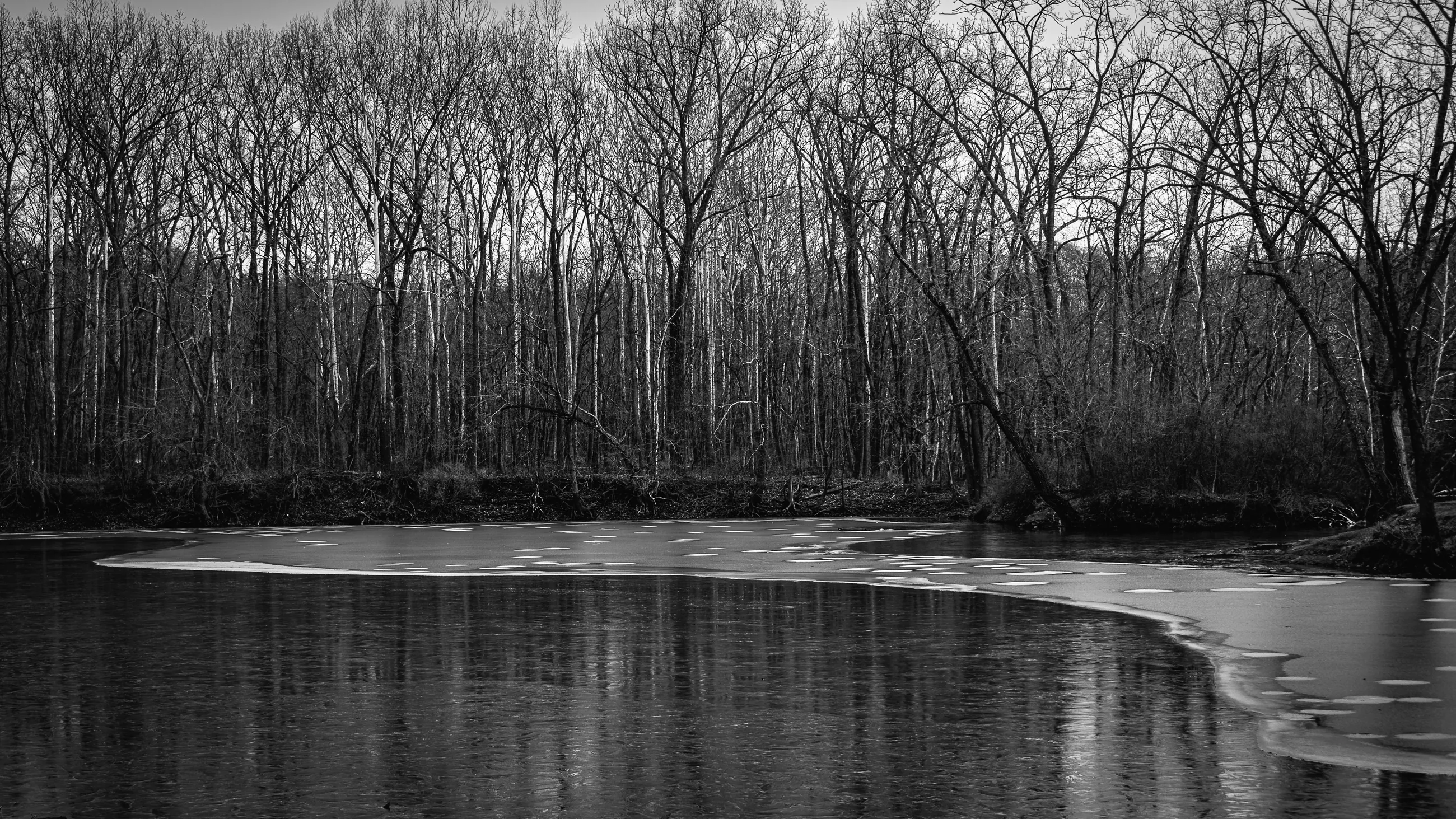Black and White Frozen Creek Print