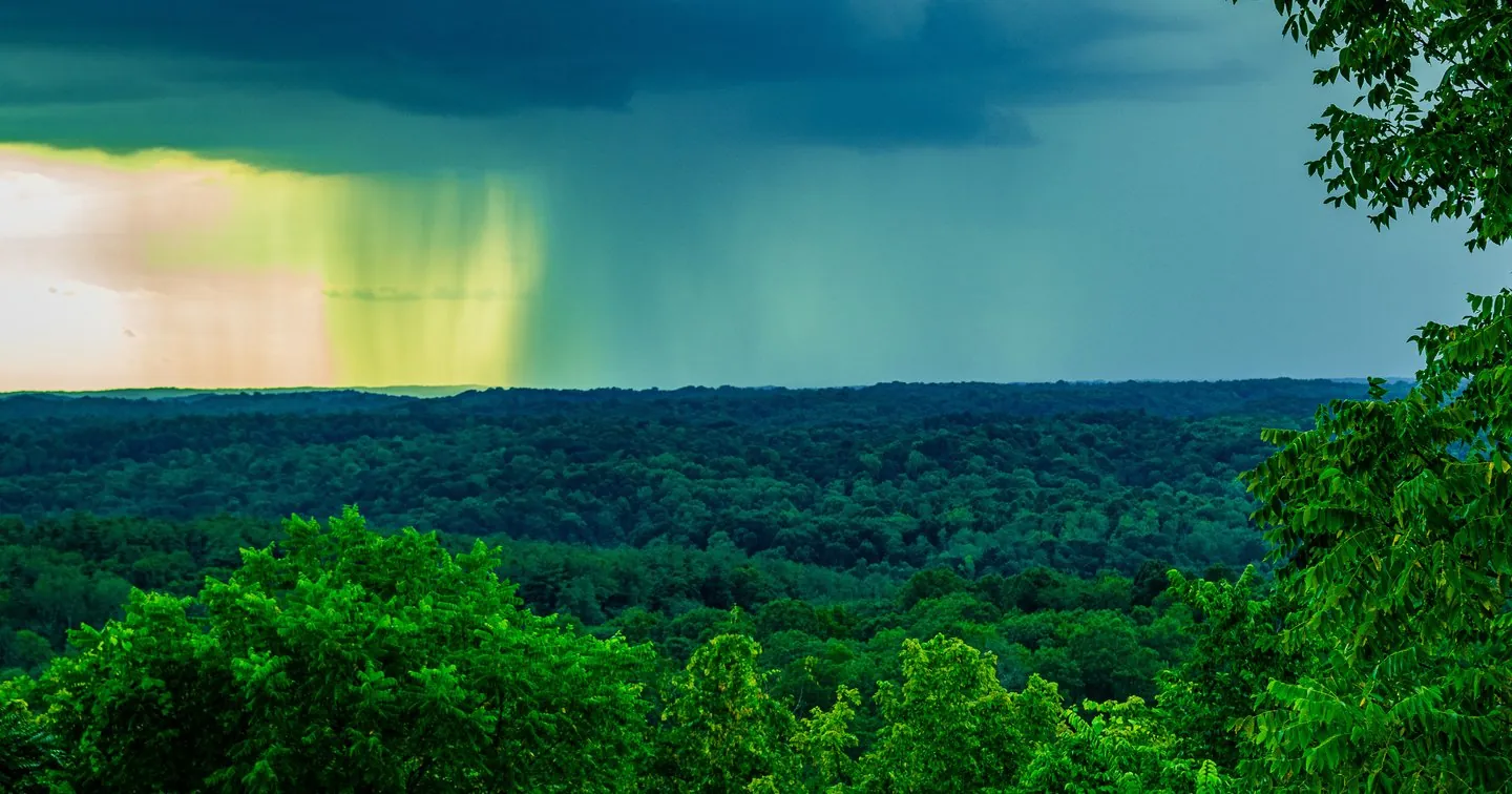 Storm on the Horizon!