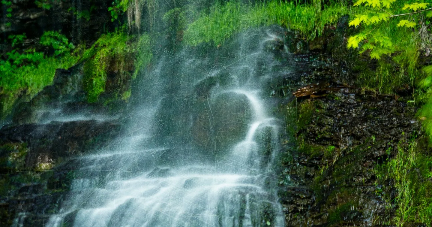 Nature Wall Art