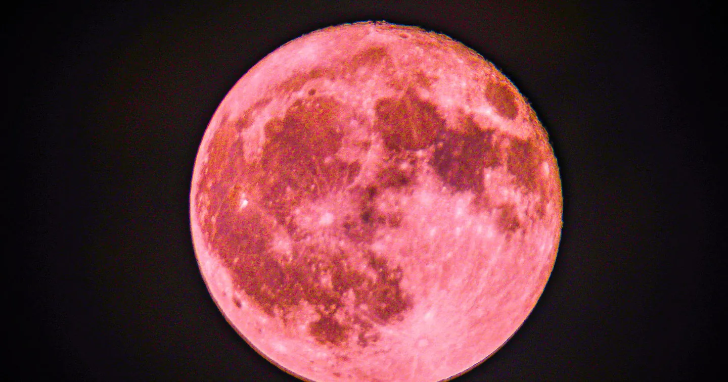 Pink Moon Poster