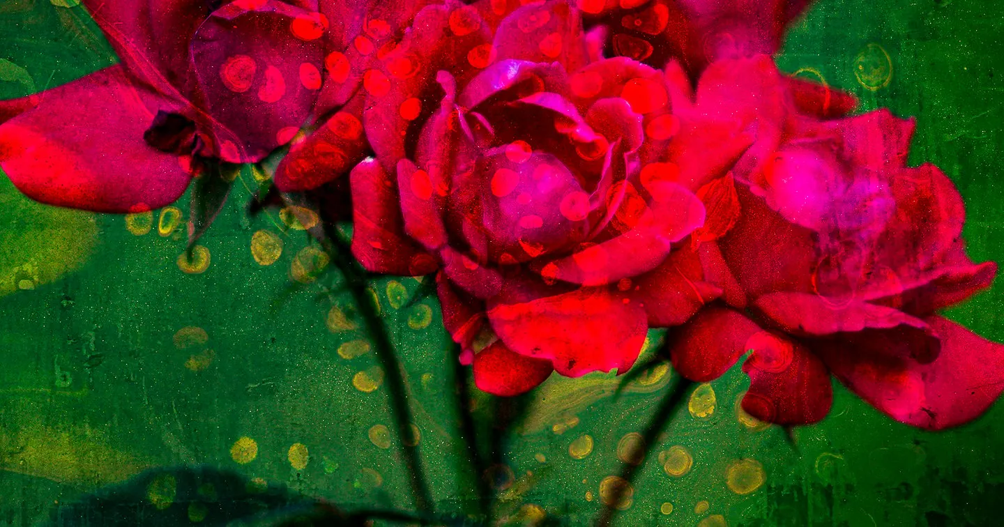Red Roses Art Print