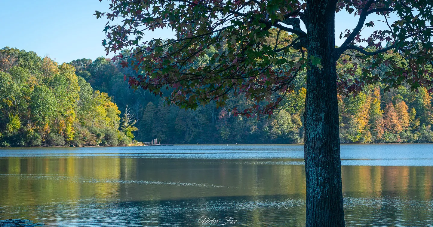 Scenic Landscape Photo