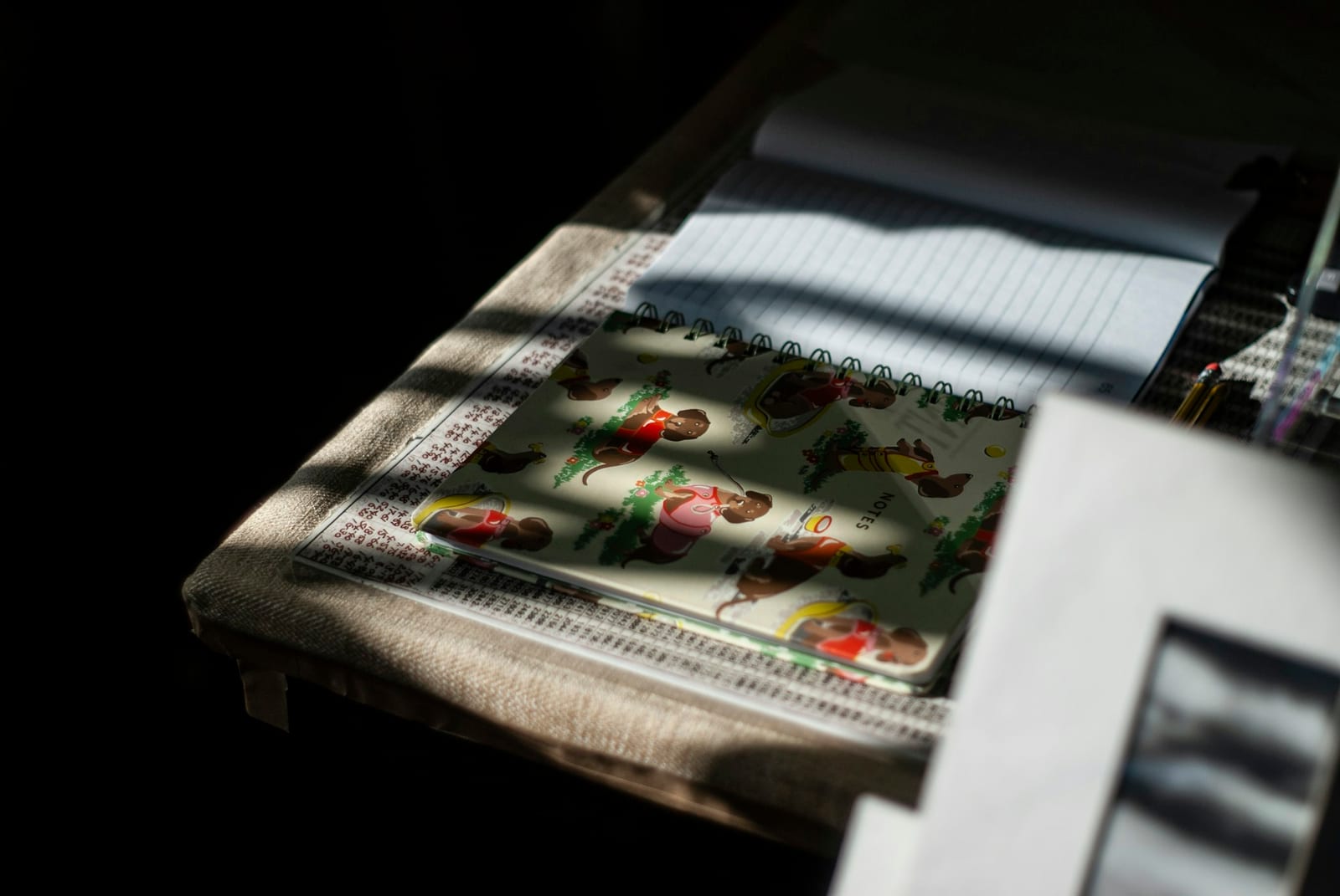 Notebooks and papers in sunlight on a table