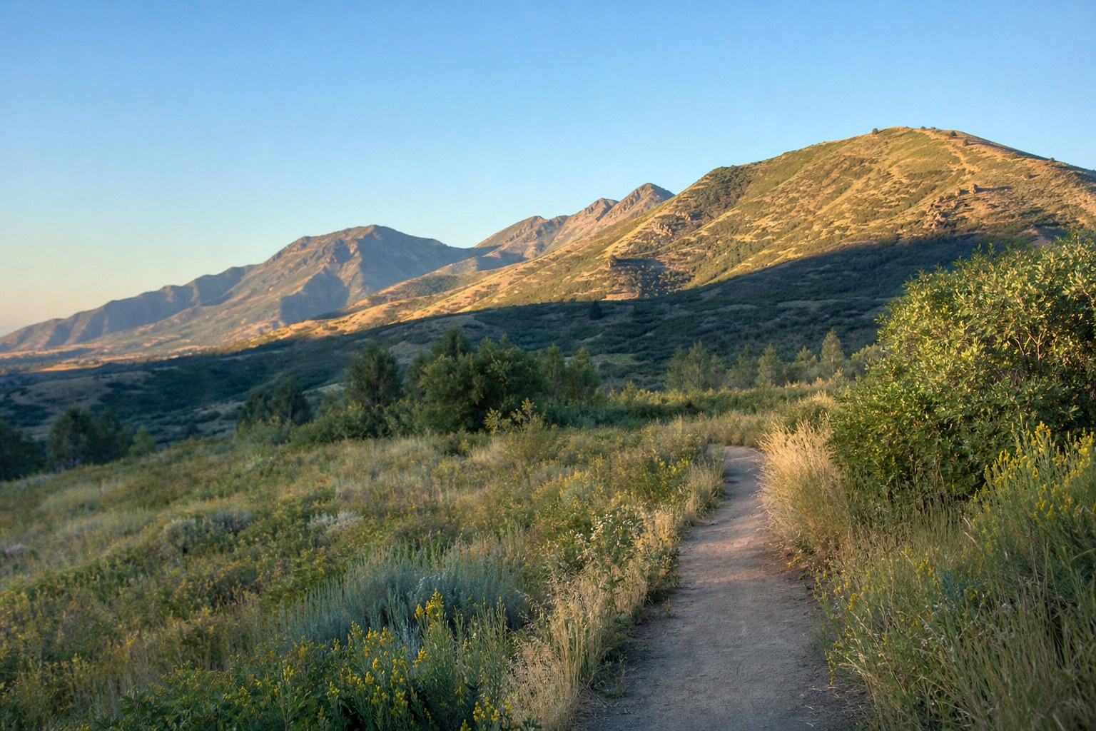 Sunlit walking path in the Utah foothills