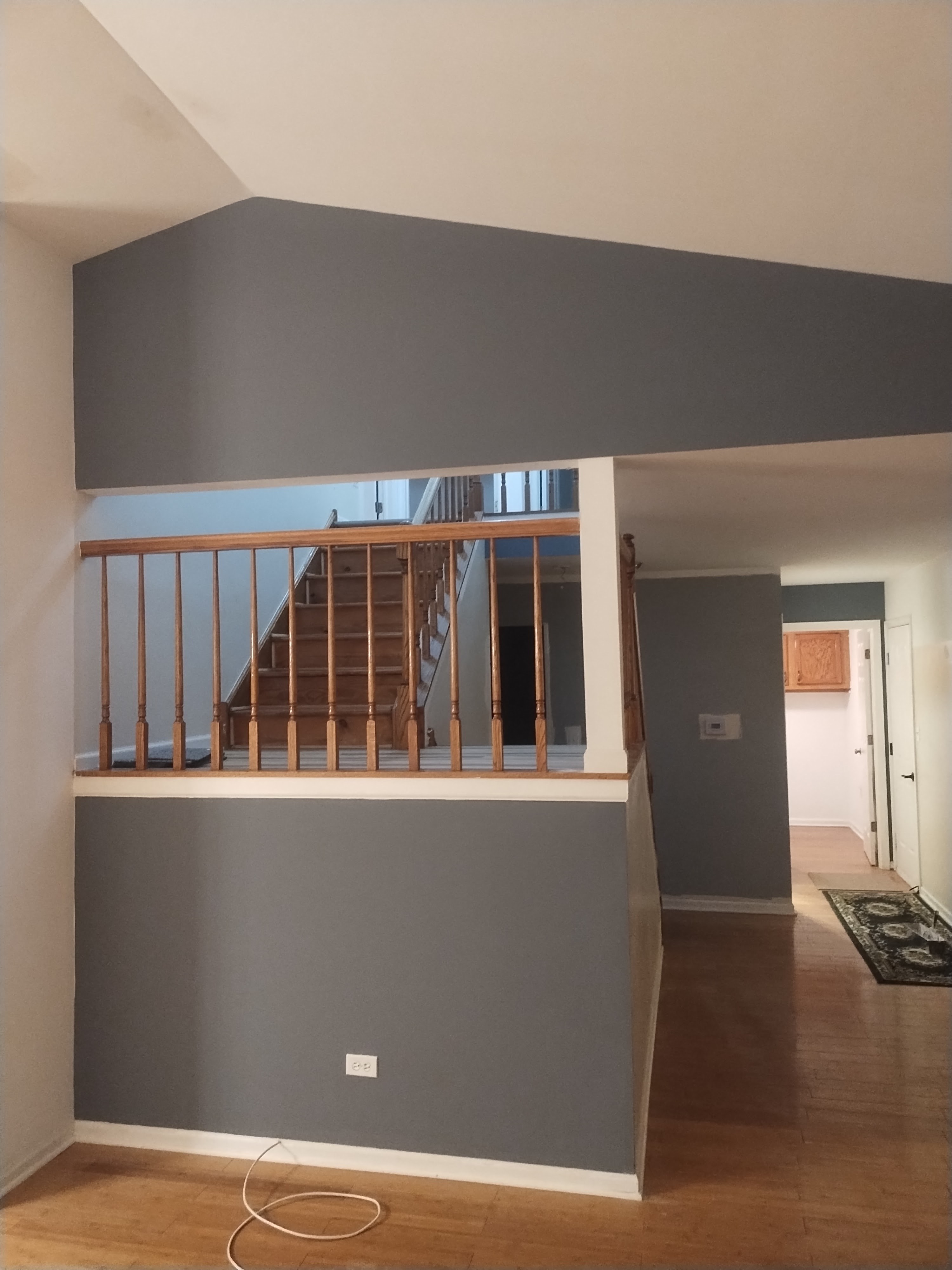 Deep blue accent wall in a Hoffman Estates living room