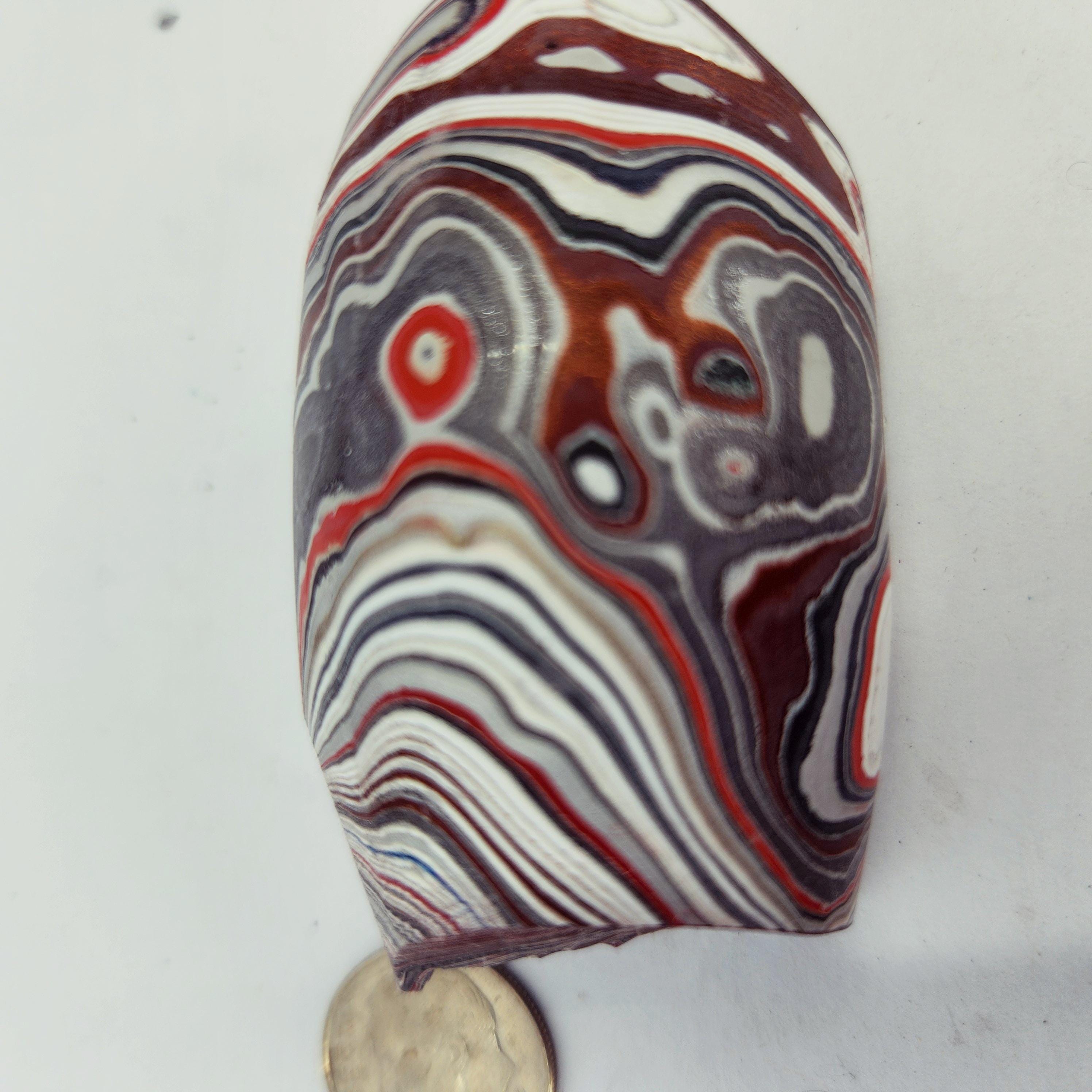 Fordite, Red, White, White, Gray and Silver and Black, view 5
