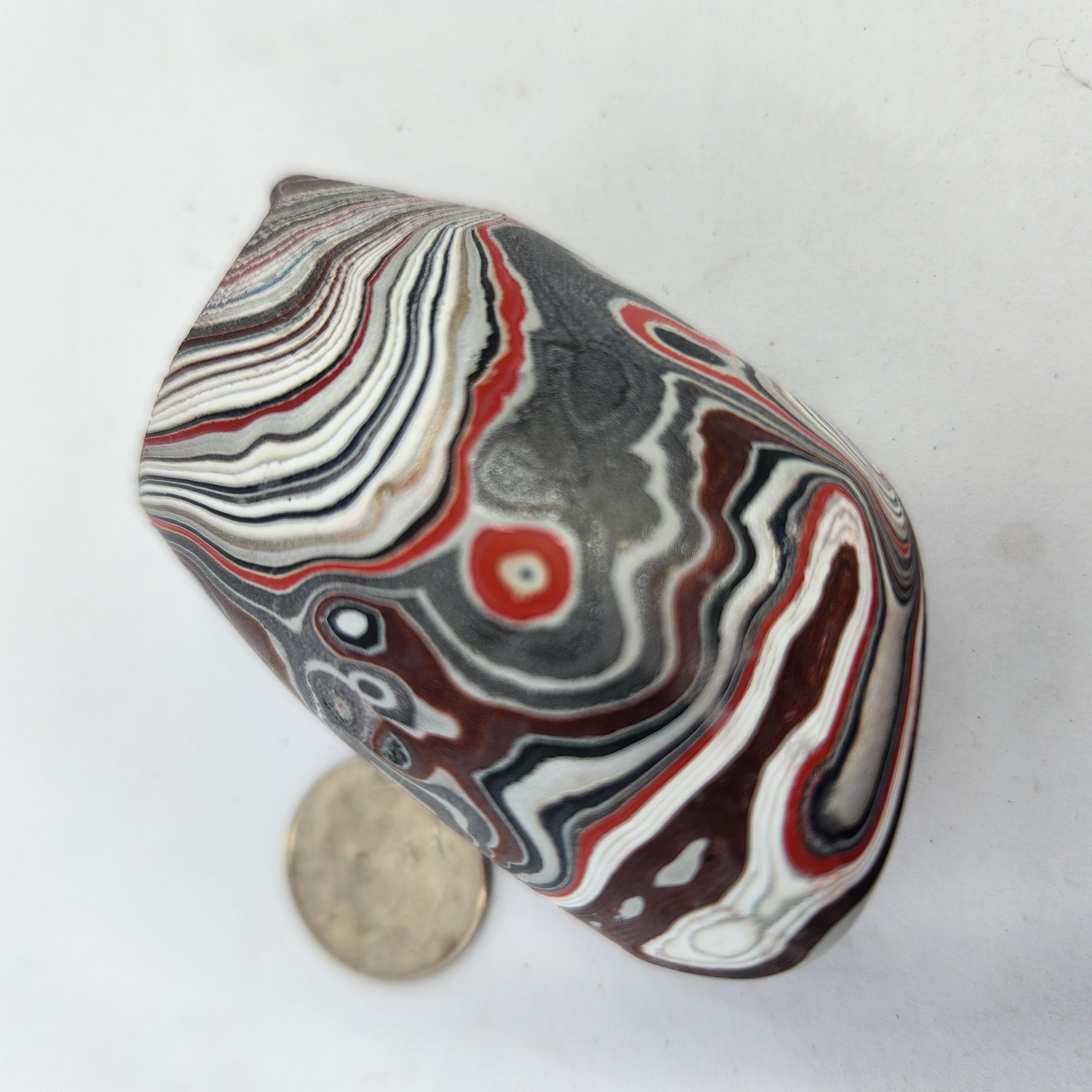 Fordite, Red, White, White, Gray and Silver and Black, view 6