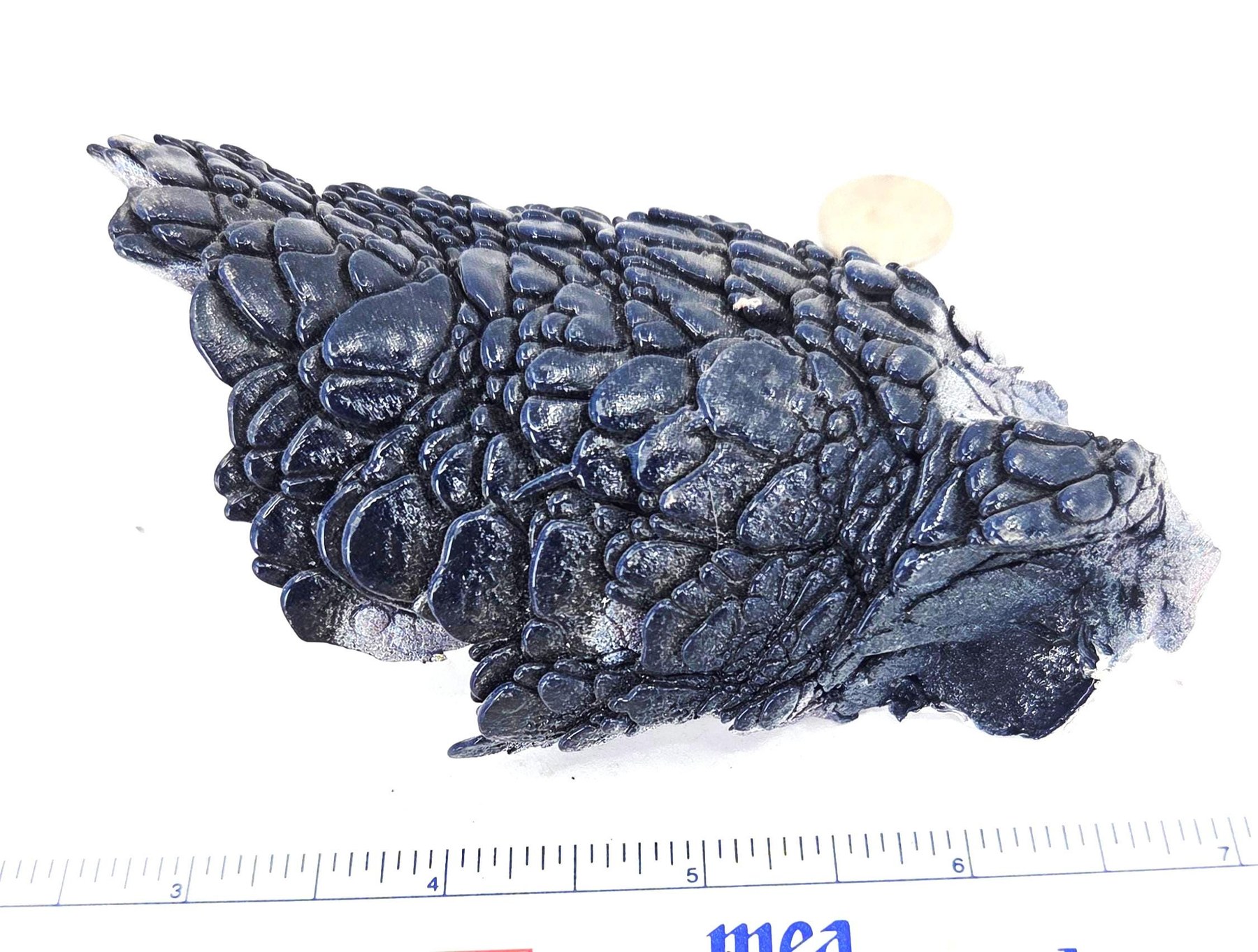 Kenworth Fordite Black Dragon Scale, view 2
