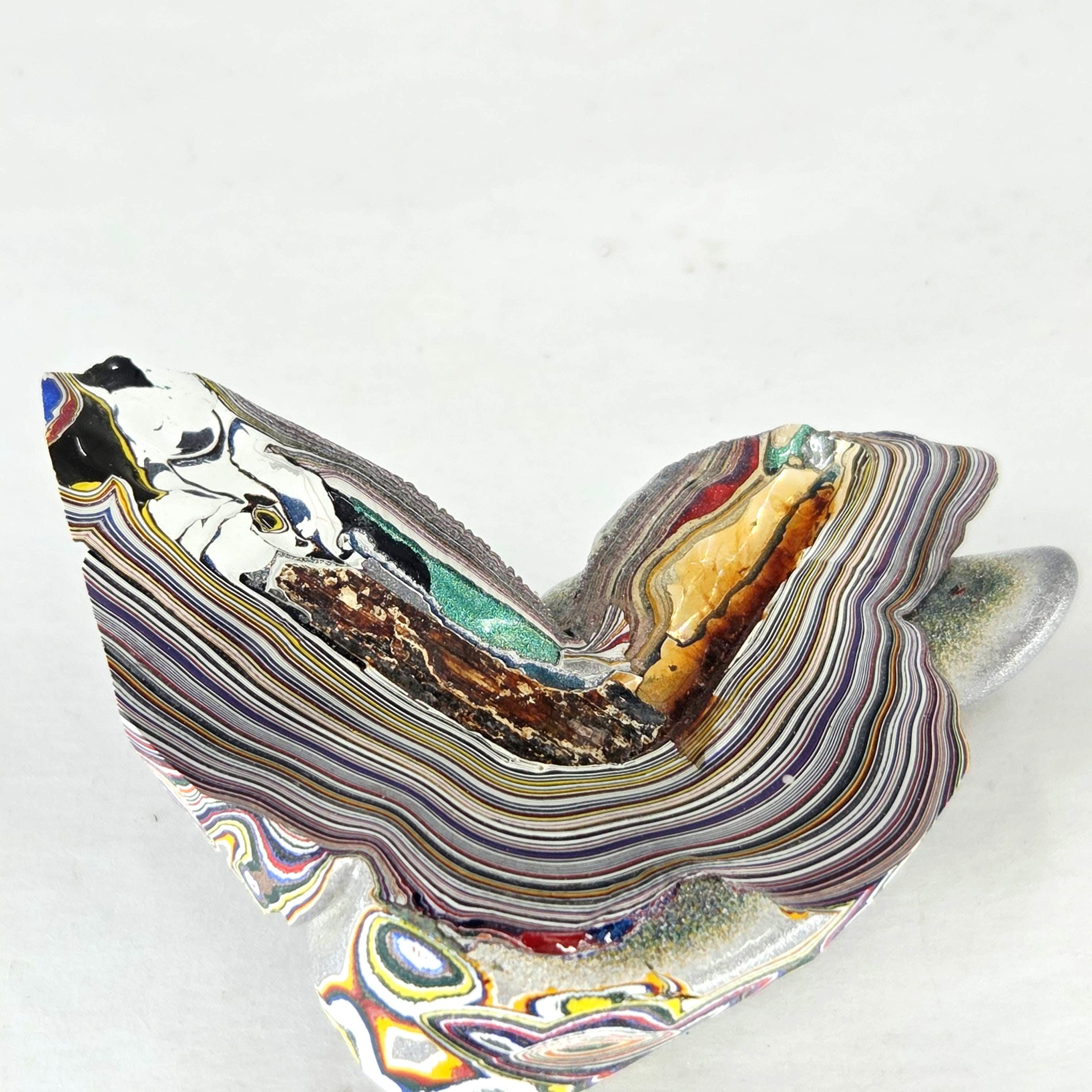 Fordite Collector Sample, view 2