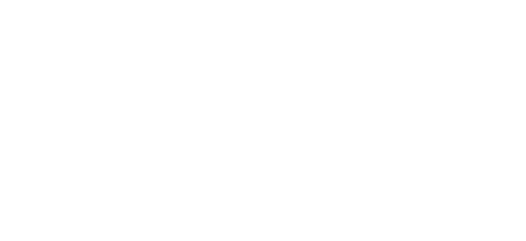 Signature Motorcoach Consulting